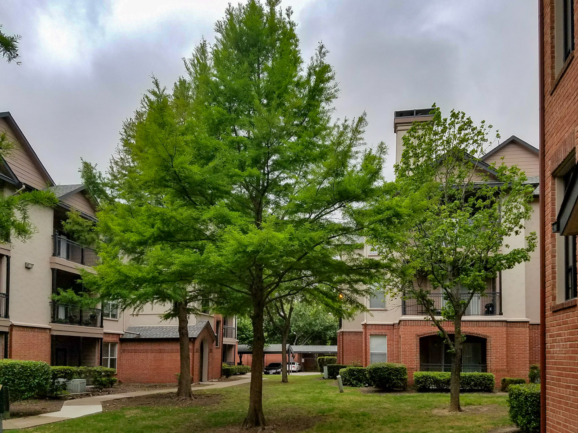 Richardson, TX, US - Apr 29, 2017: Apartment complex courtyard area with trees