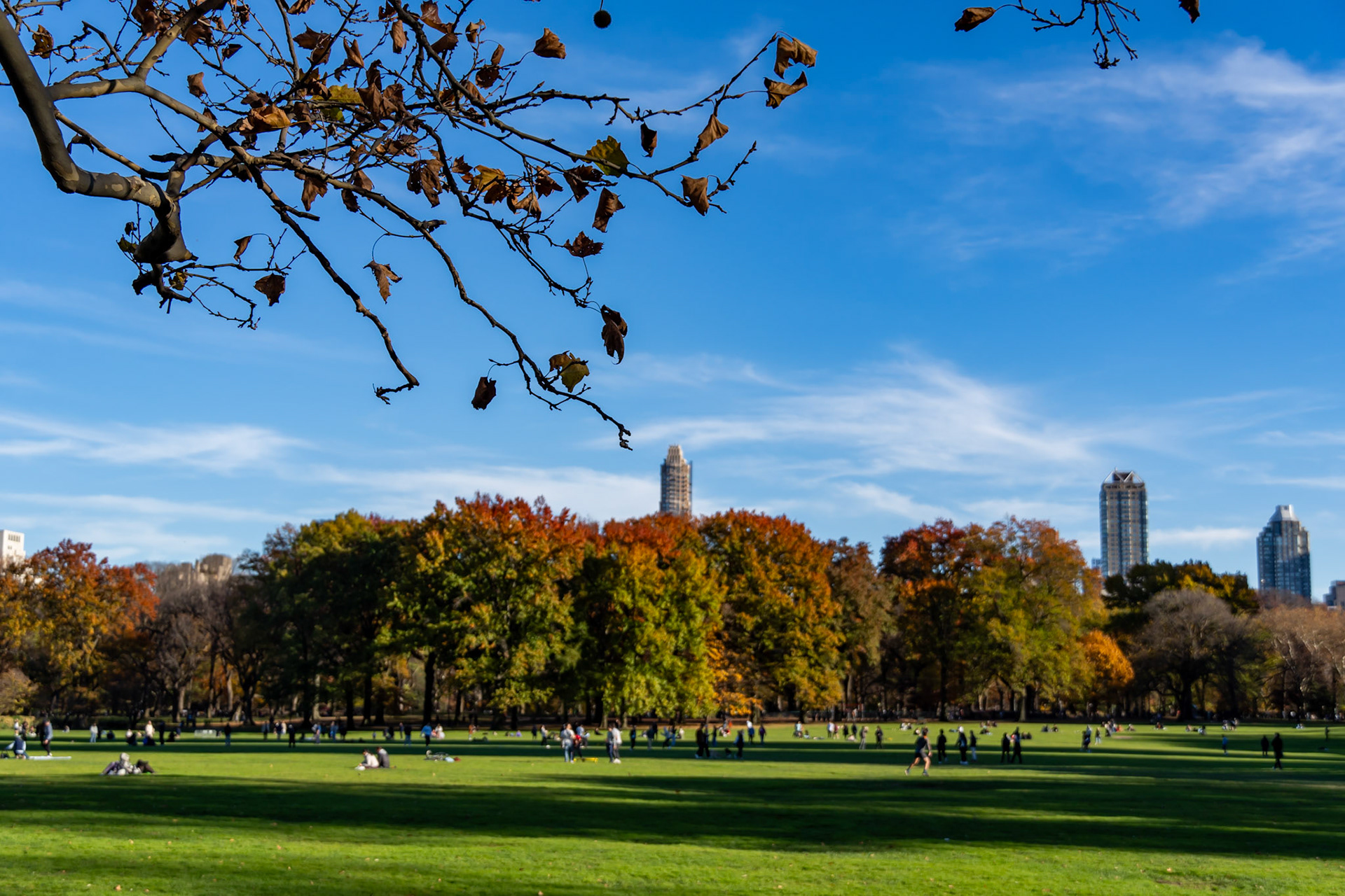 Sheep Meadow in the background