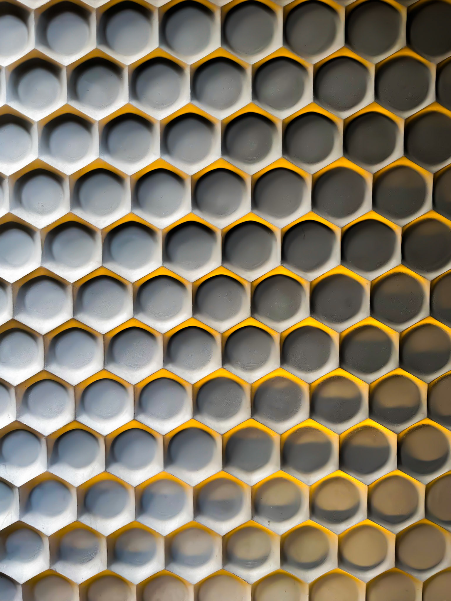 Hilfiger honeycomb wall
