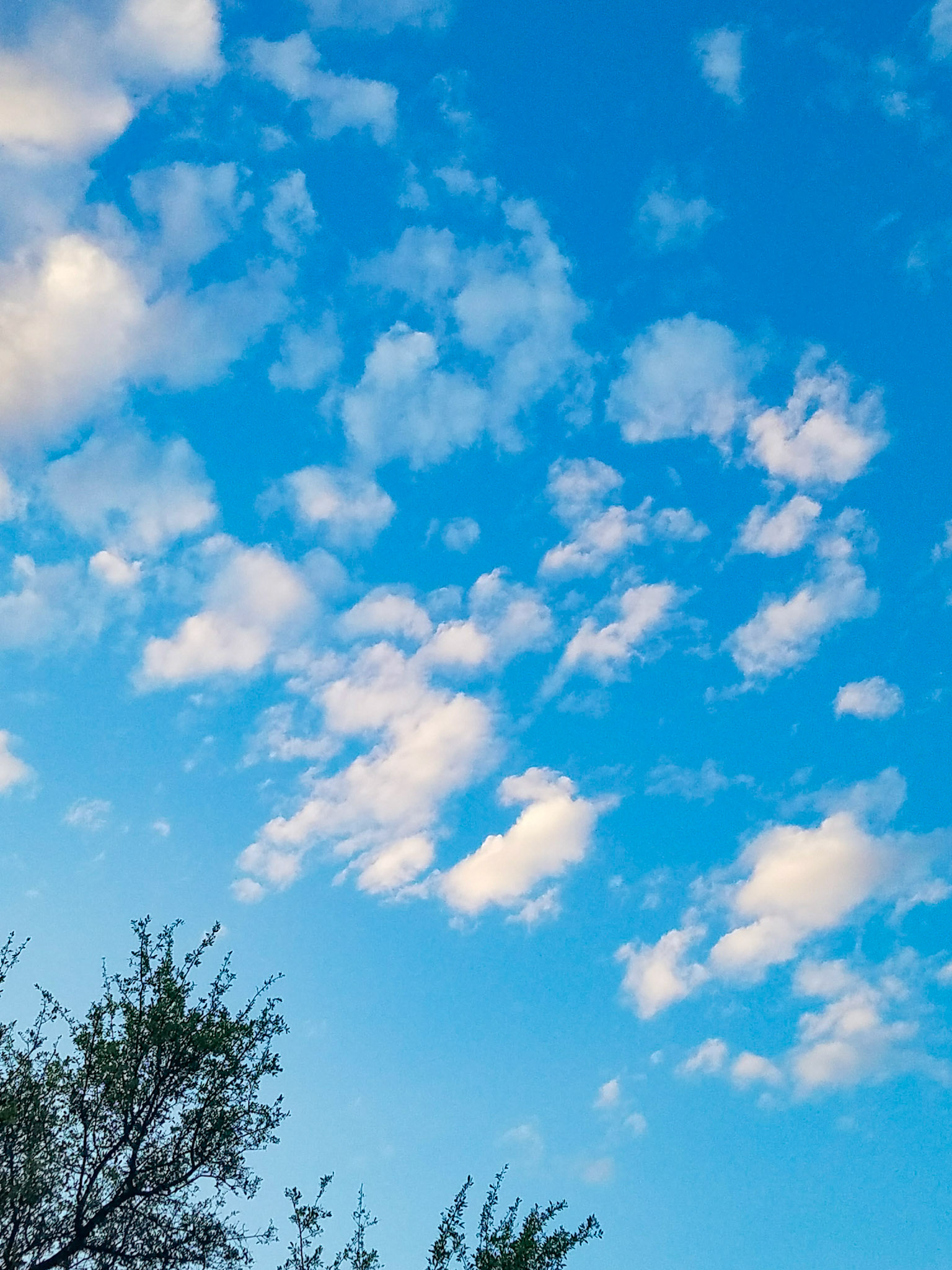 Wylie, TX, US - Apr 26, 2018: Soft puffy clouds above trees