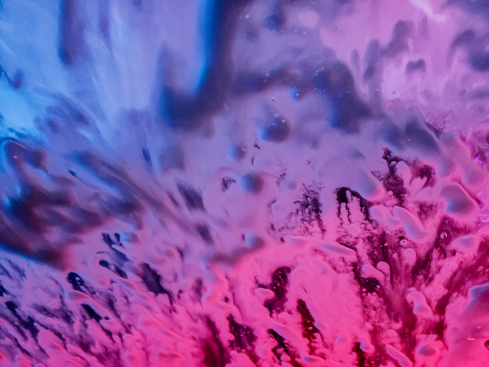 Orem, UT, US - Aug 1, 2020: Windshield passing through a car wash