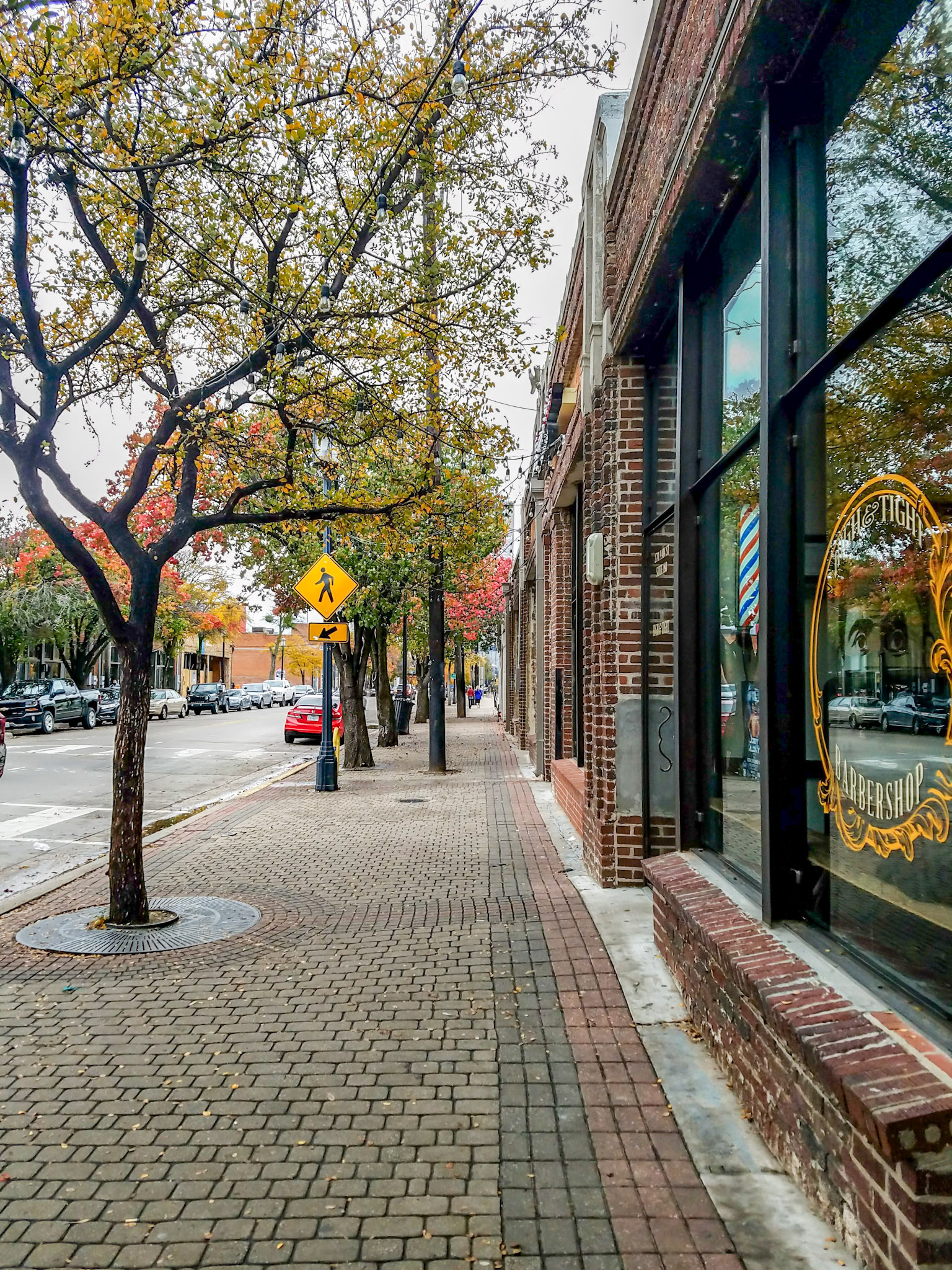Dallas, TX, US - Dec 4, 2016: Fall leaves in Deep Ellum