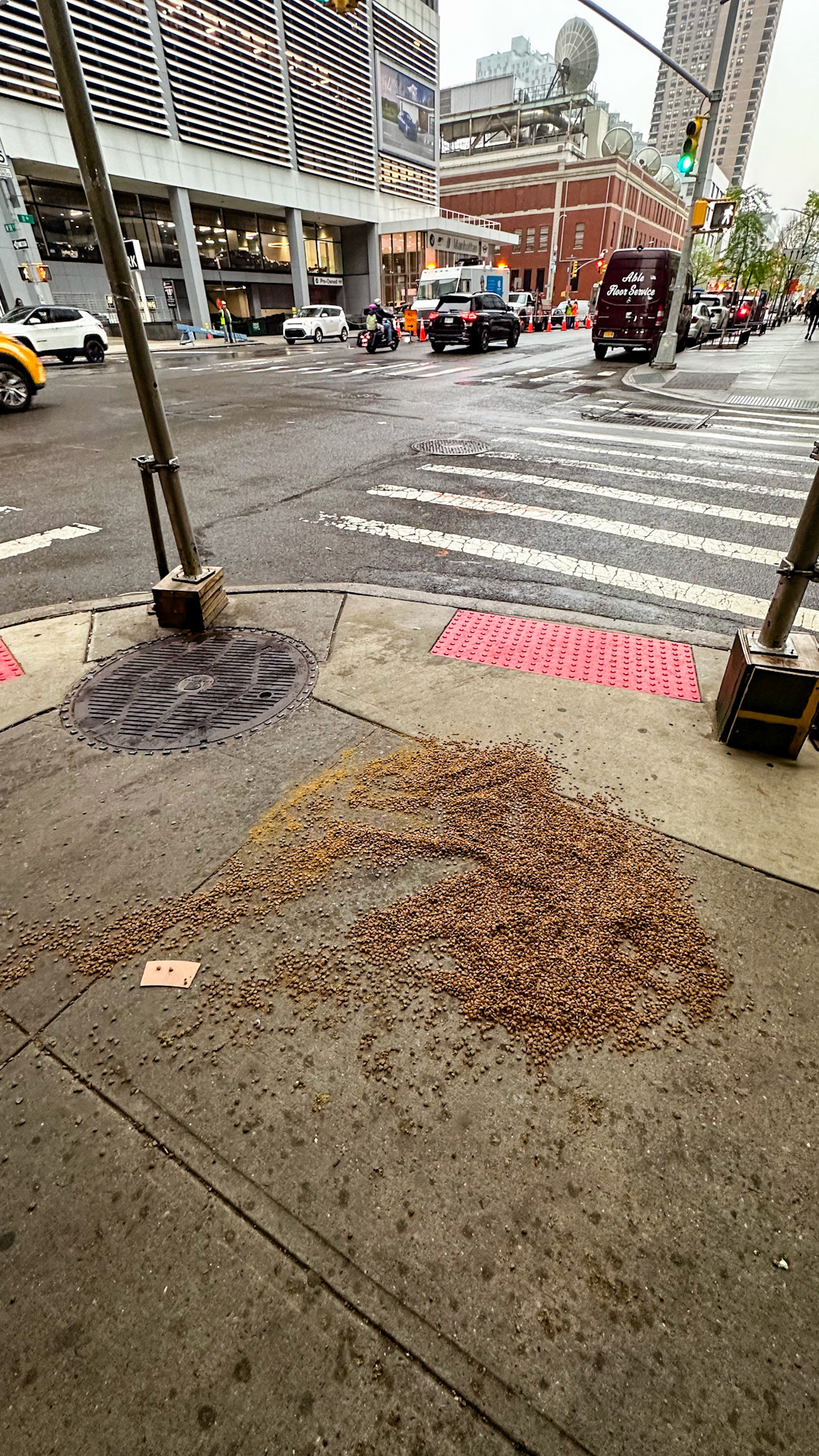 New York, NY, US - Apr 17, 2023: Pet food spilled on street corner