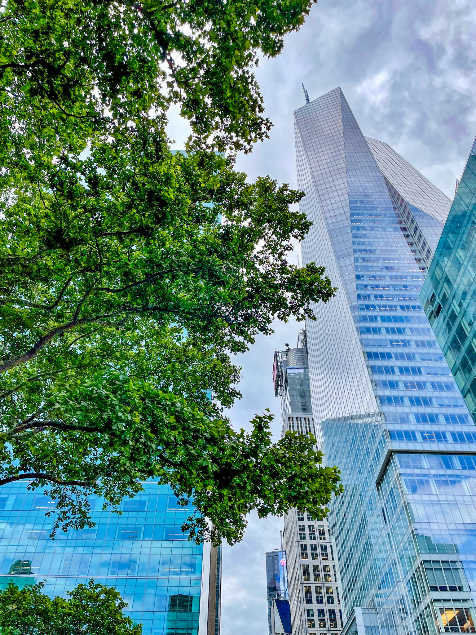 View from the M42 bus stop at Sixth Ave