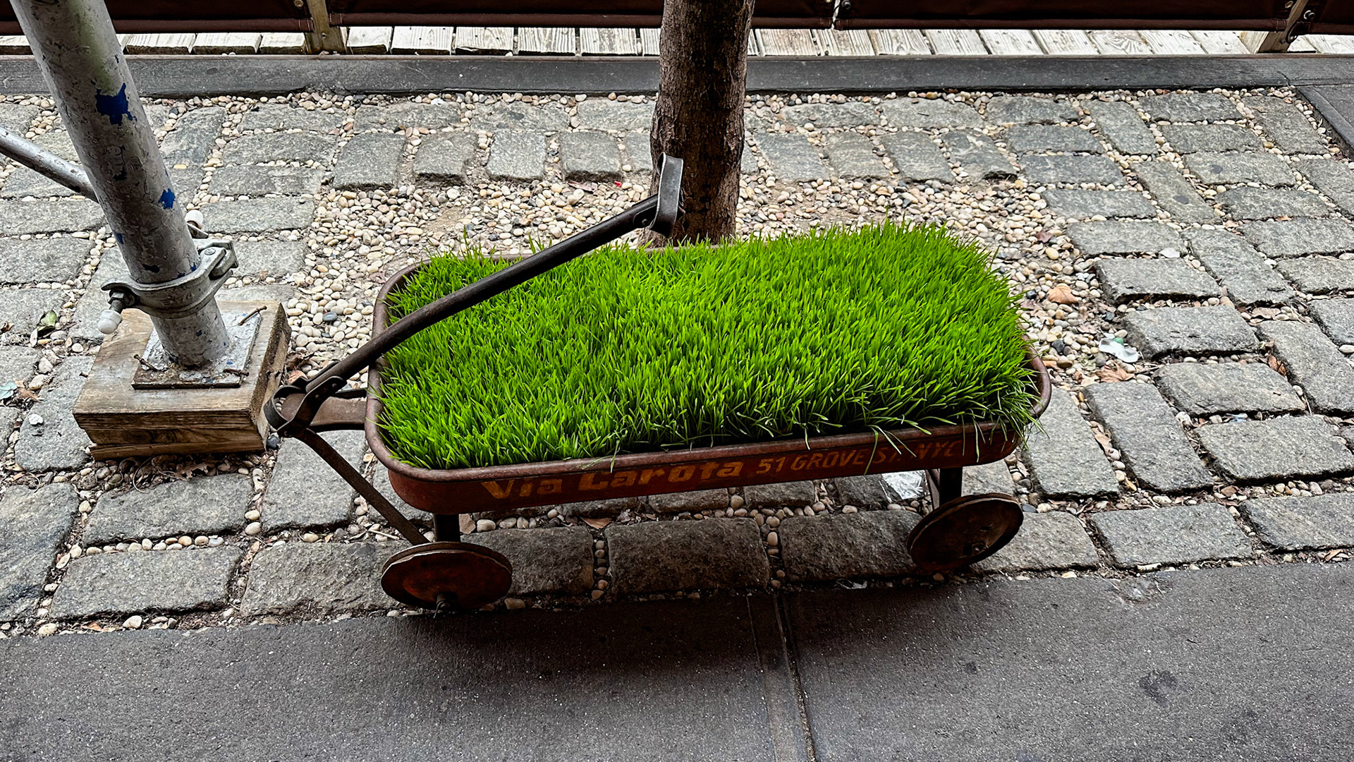 New York, NY, US - Mar 10, 2023: Red wagon filled with green grass on sidewalk