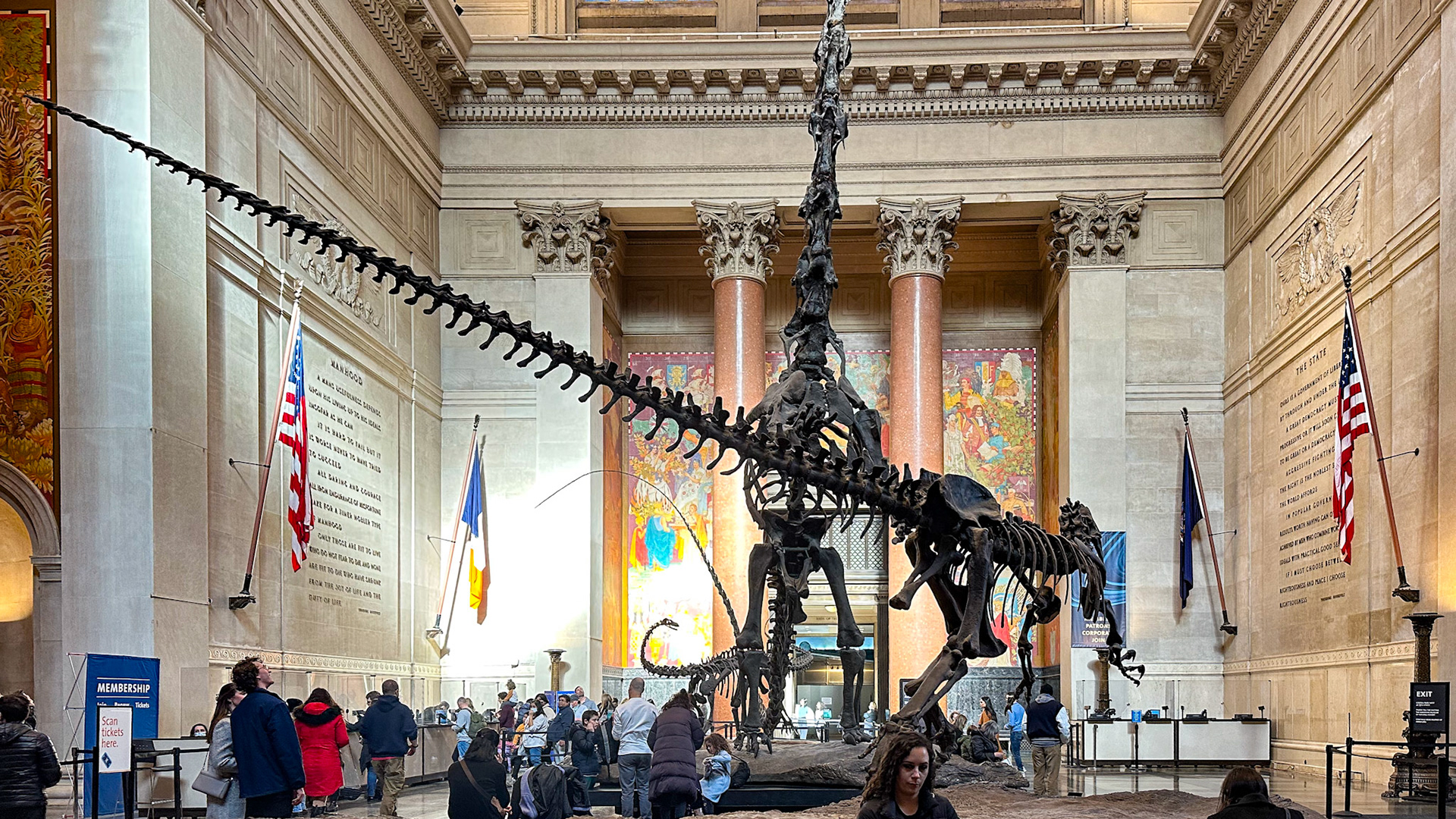New York, NY, US - Jan 28, 2023: Theodore Roosevelt Rotunda at American Museum of Natural History