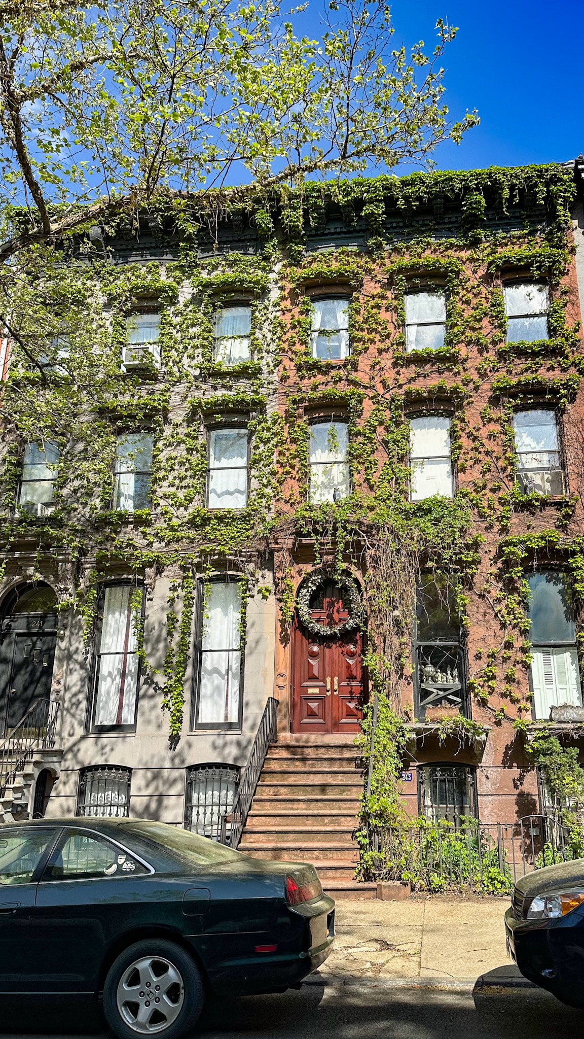 Brooklyn, NY, US - Apr 17, 2023: Vine-covered building front, Fort Greene