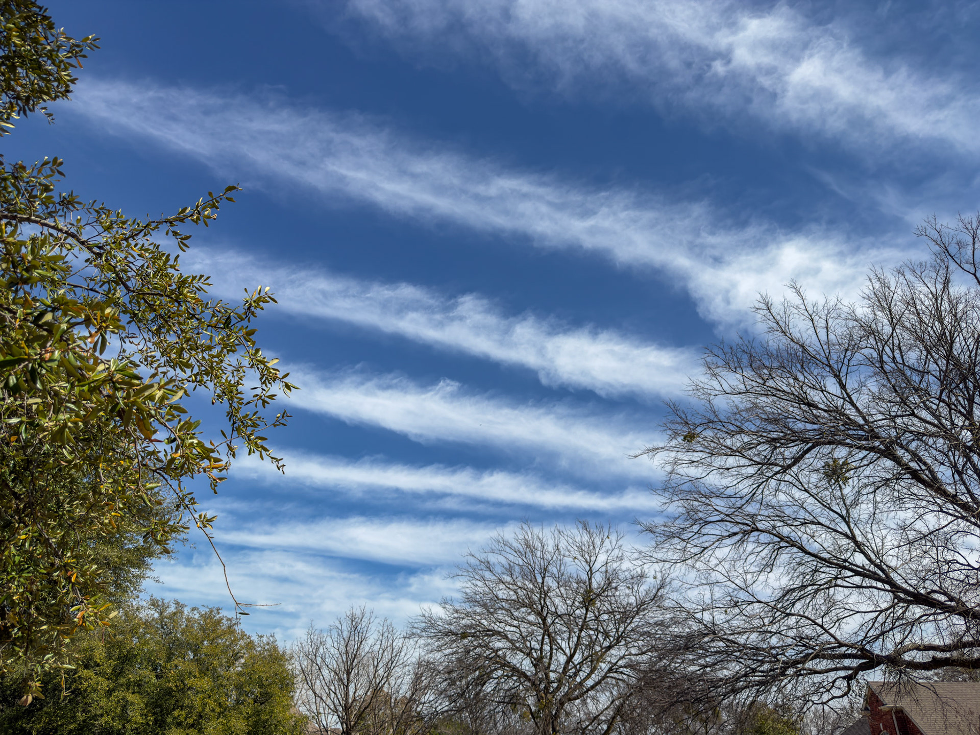 McKinney, TX, US - Feb 18, 2026: