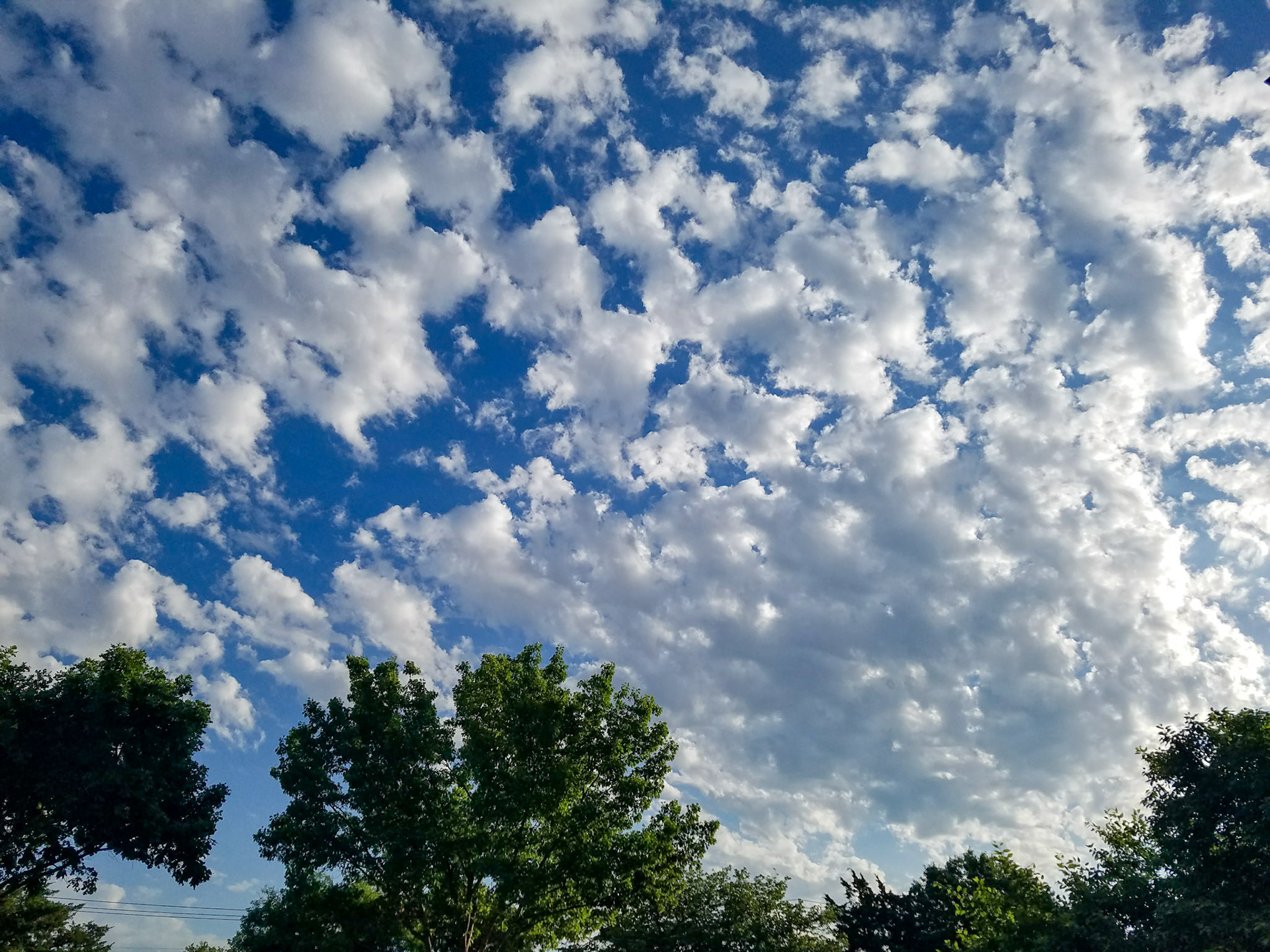 Wylie, TX, US - May 9, 2018: Altocumulus floccus clouds above treeline