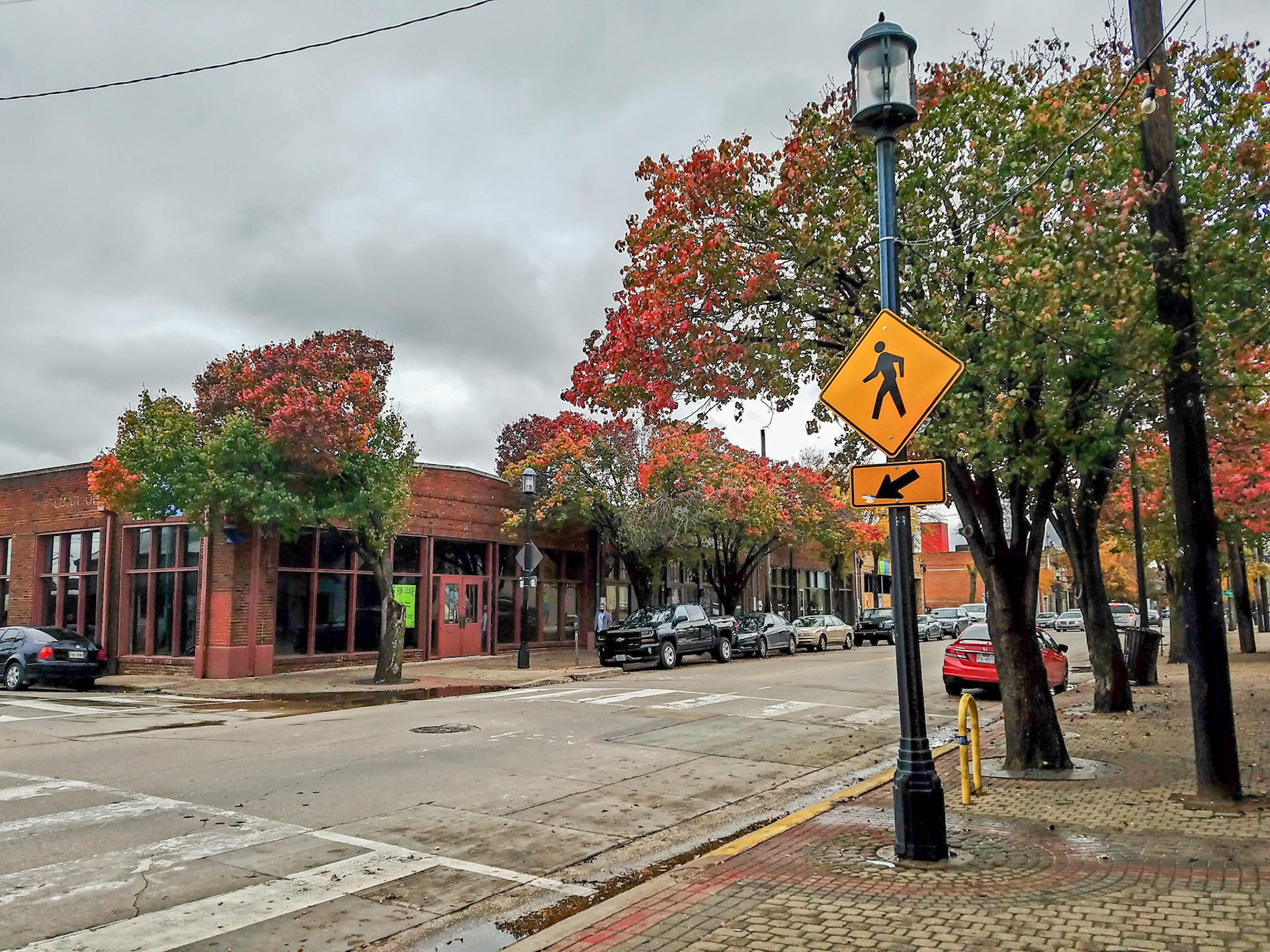 Dallas, TX, US - Dec 4, 2016: Fall leaves in Deep Ellum