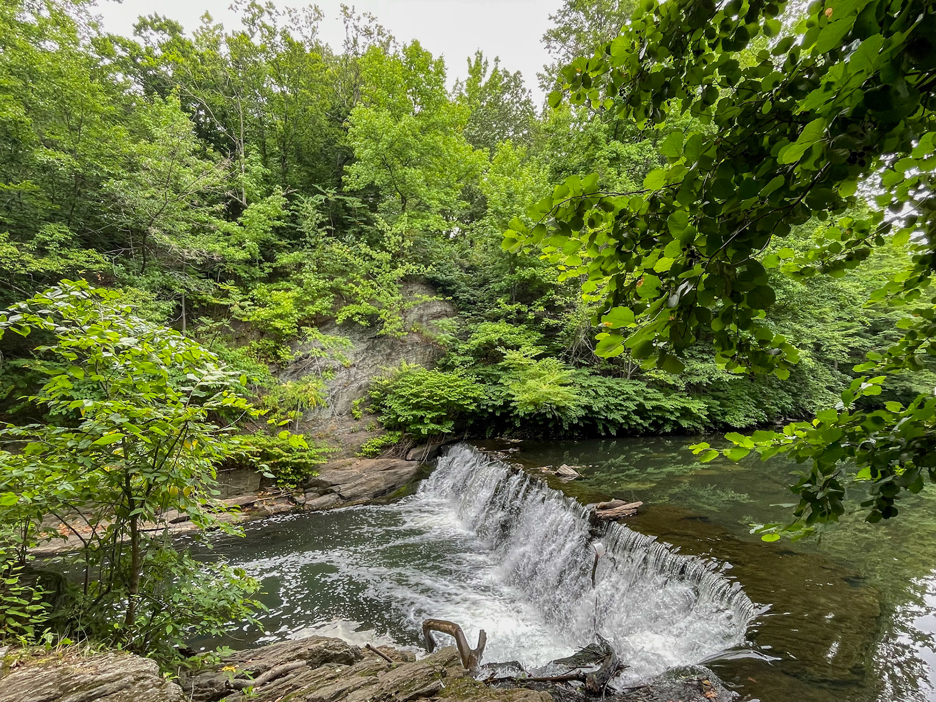 Bronx River waterfall