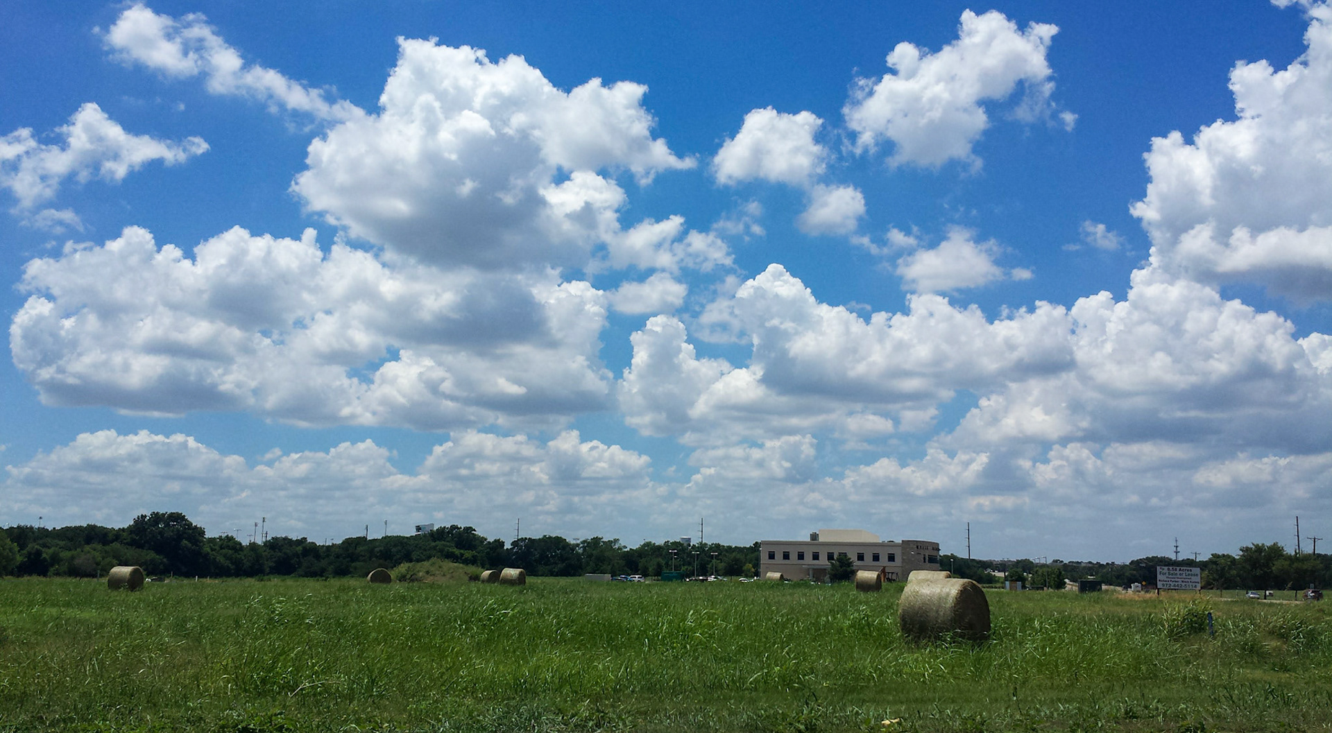 Wylie, TX, US - Jul 20, 2016: Rolled bales of hay in a field