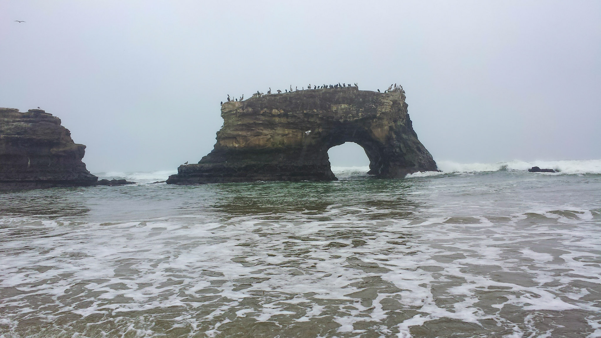 Natural Bridges State Beach on an overcast day in March 2016 II