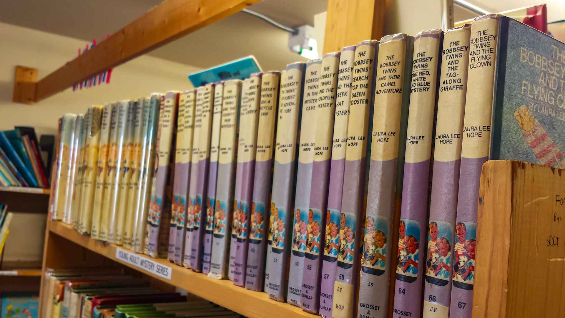 Denton, TX, US - Aug 31, 2014: Recycled Books interior, shelf of Bobbsey Twins books by Laura Lee Hope