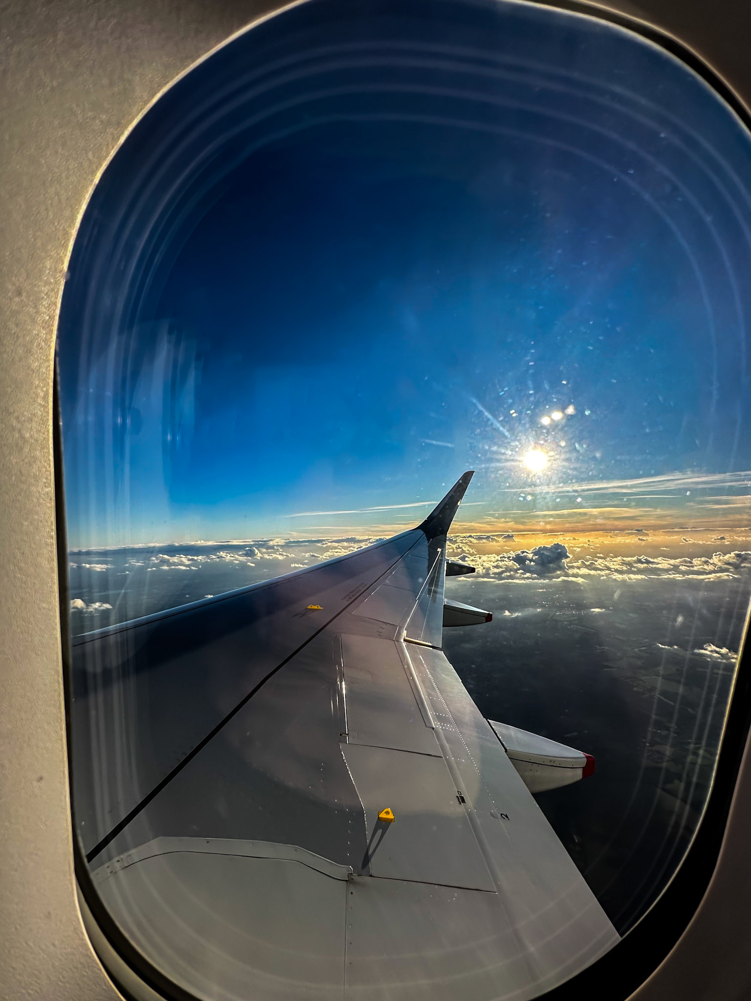 Wing through the window
