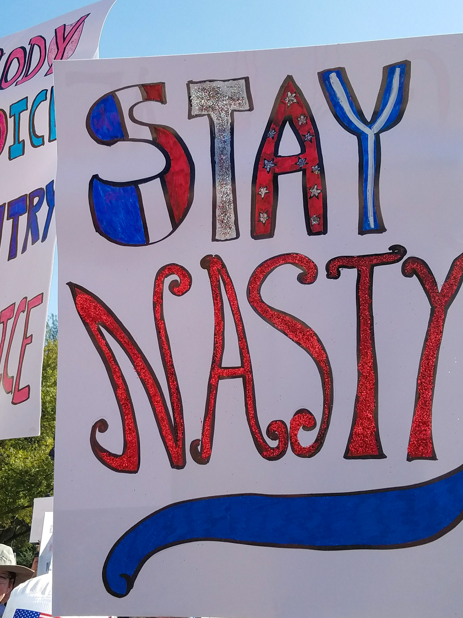 Austin, TX — Women's March, January 2017