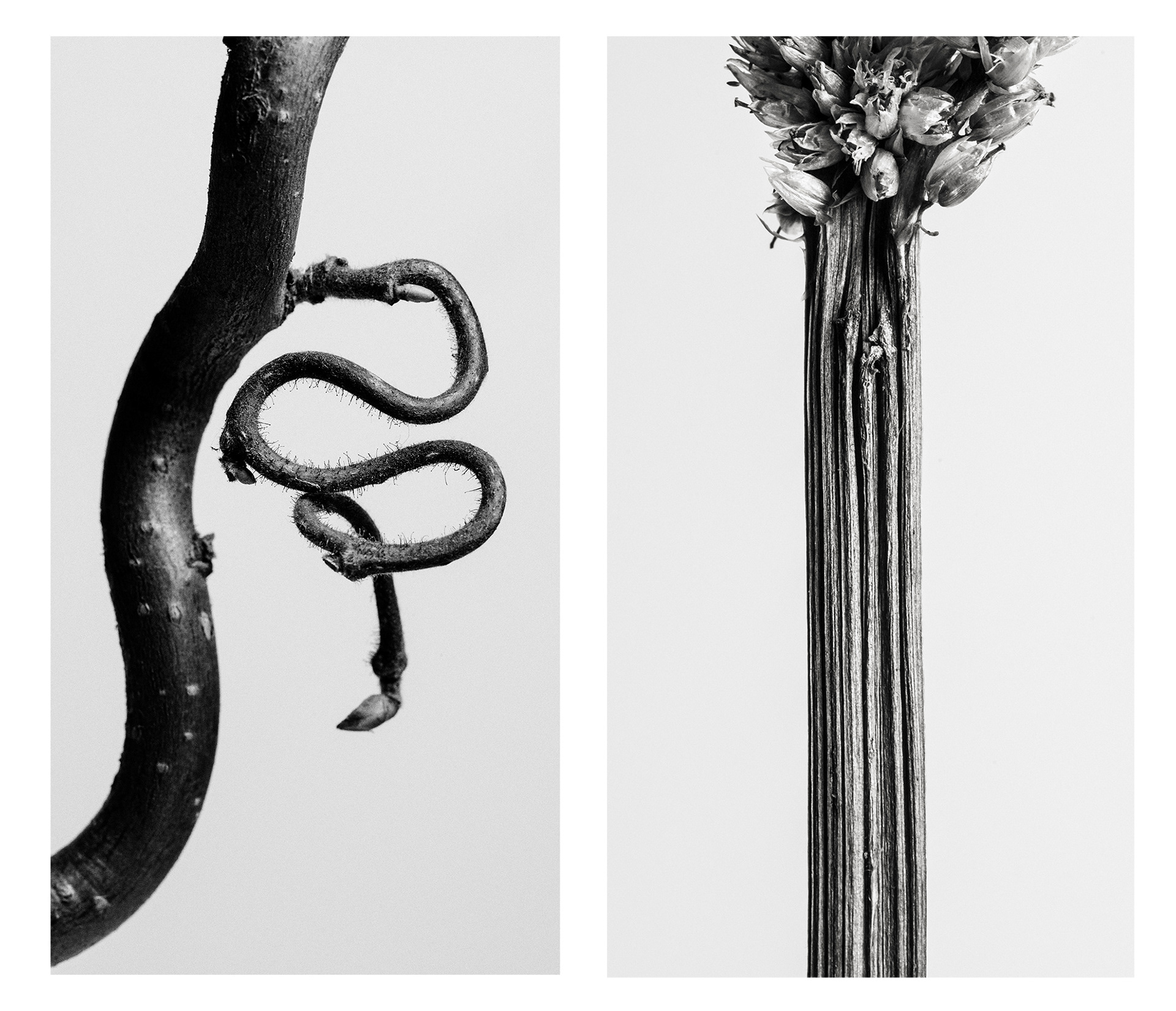 fine art fotografie in zwart/wit door fotograaf Joël Vingerling