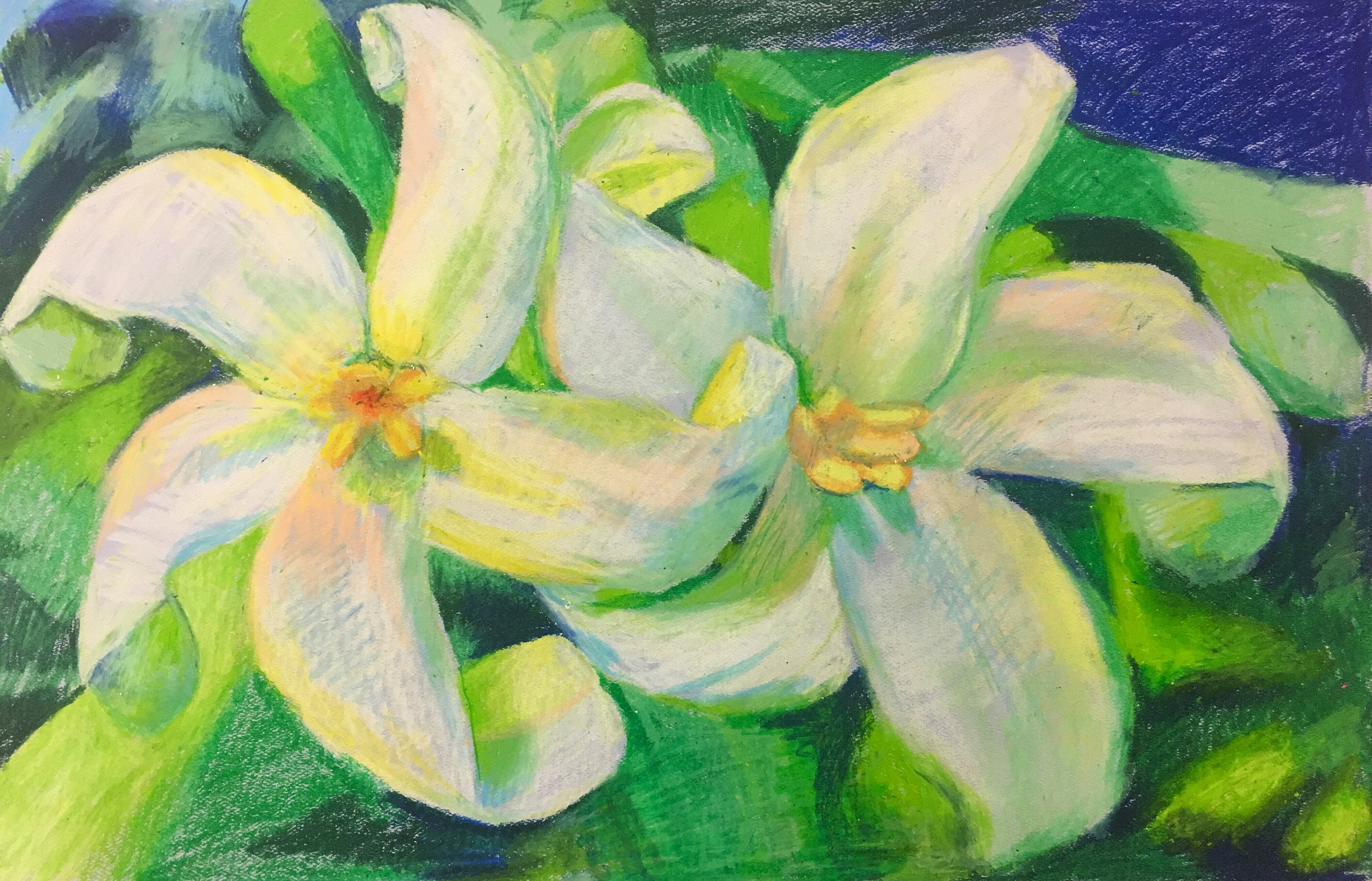 Passion Flowers (oil pastel)