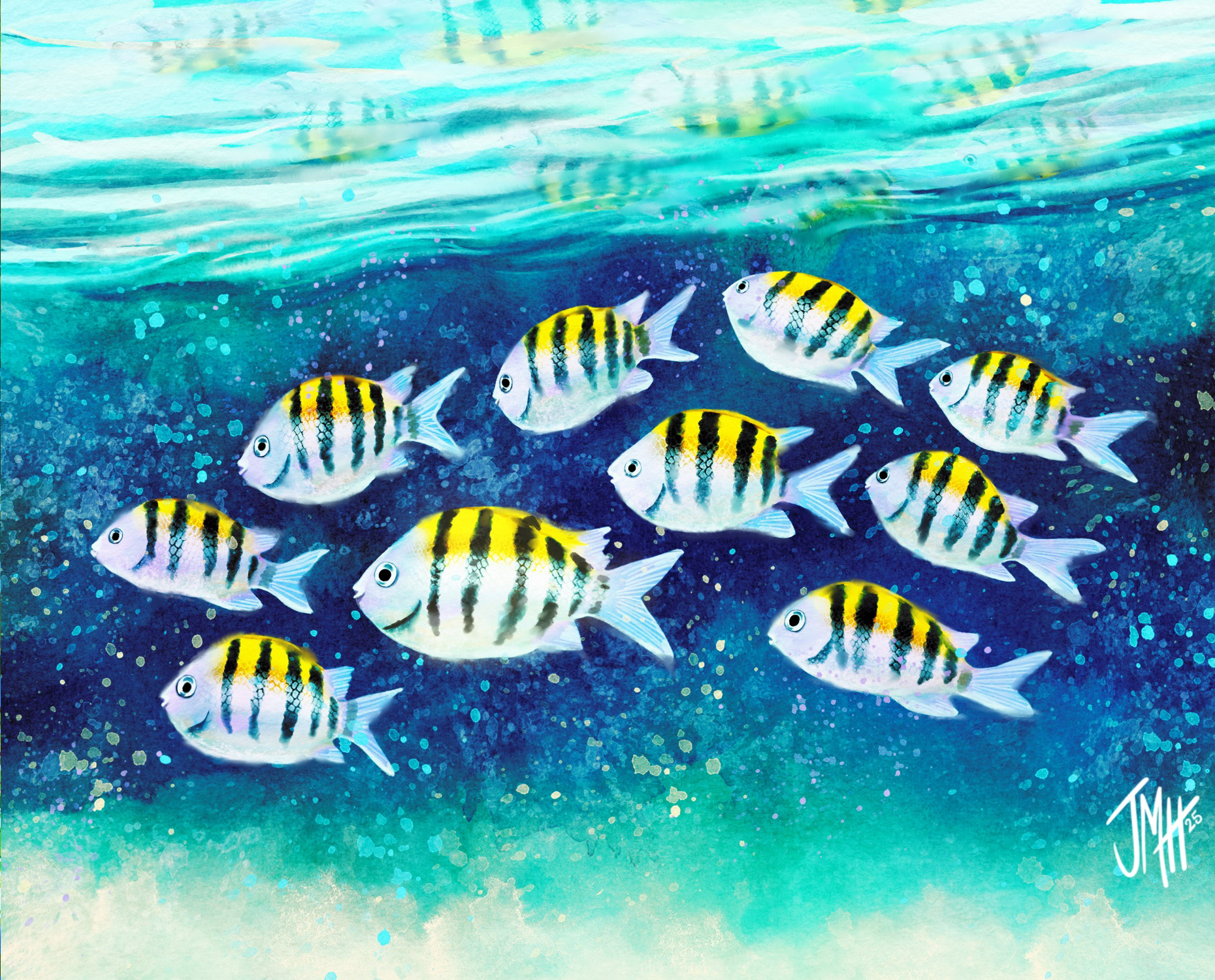 Sergeant Major Reef Fish