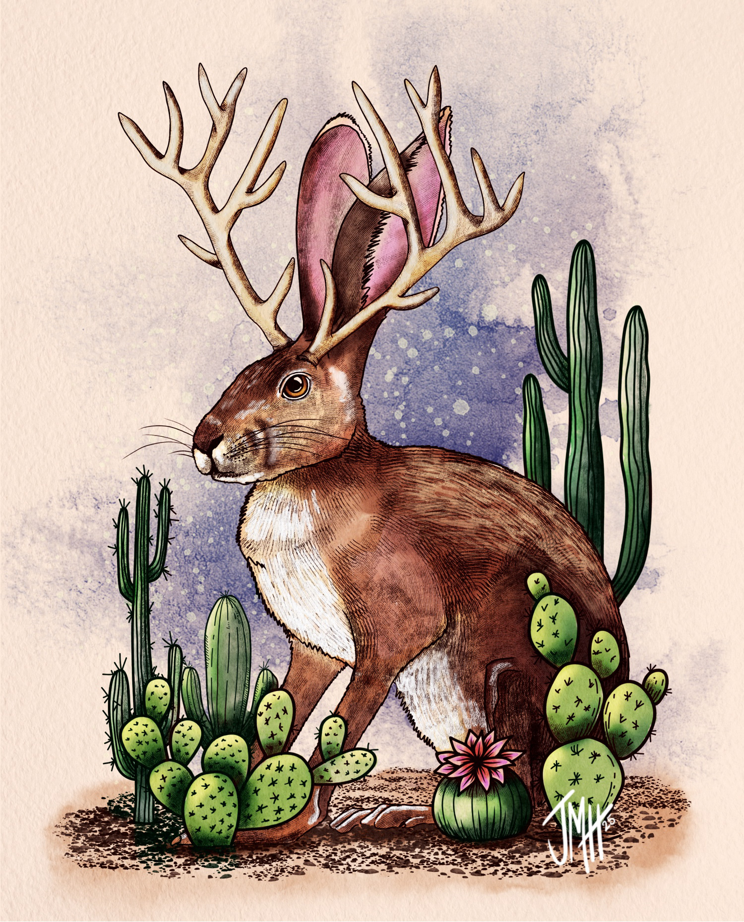 Jackalope