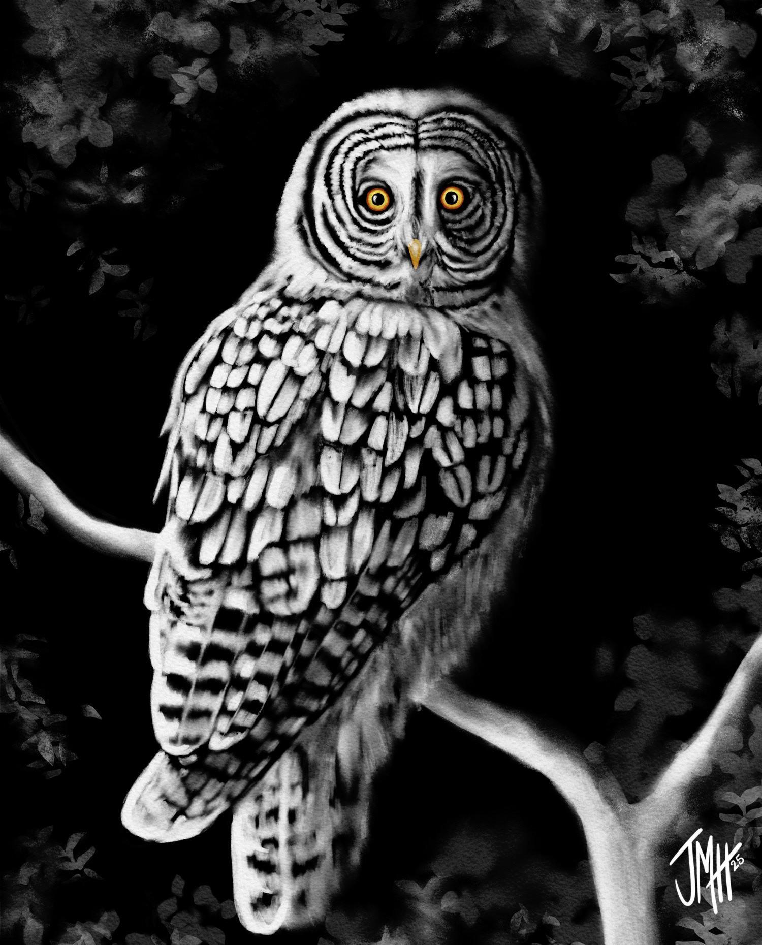 Great Grey Owl