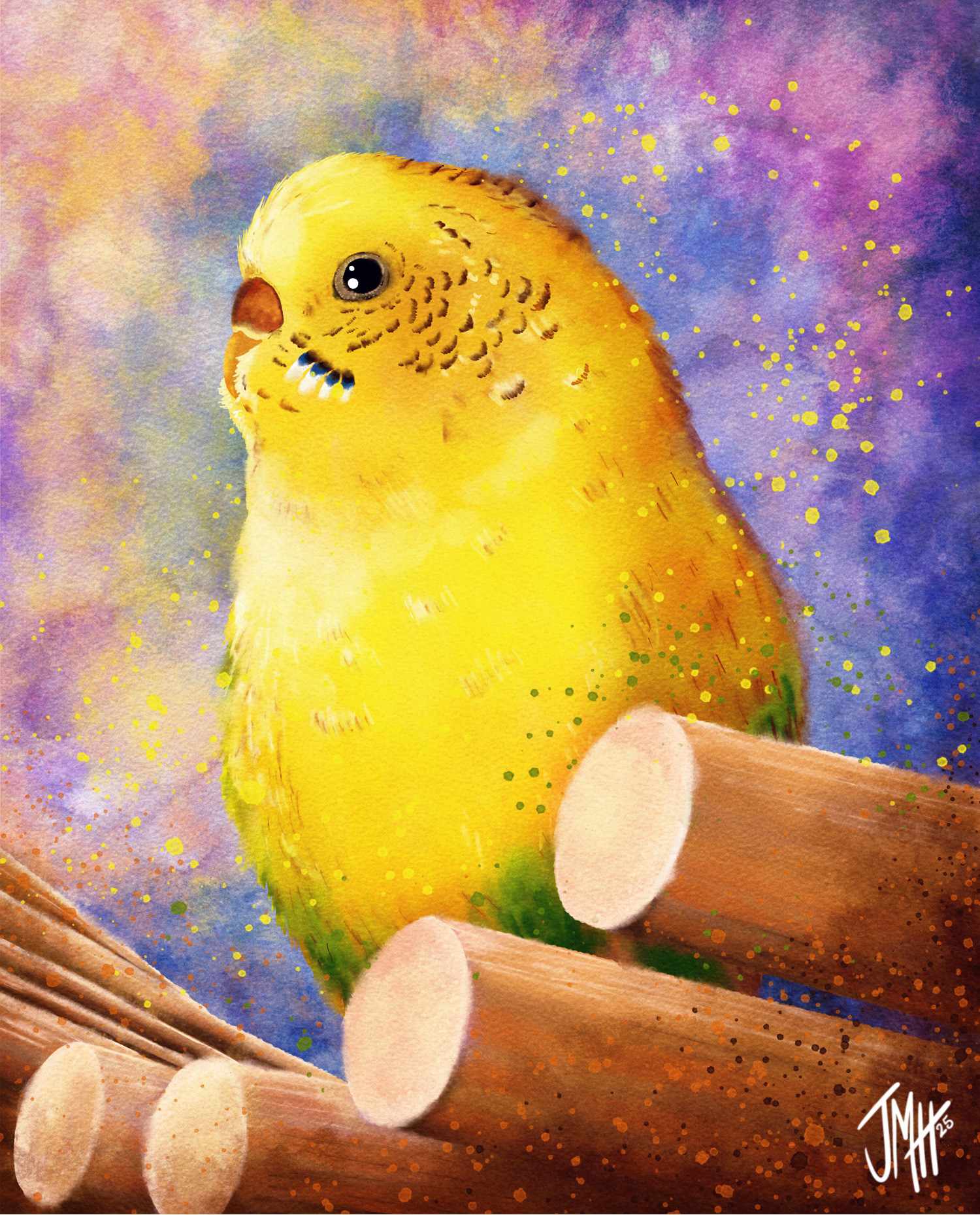 Yellow Parakeet