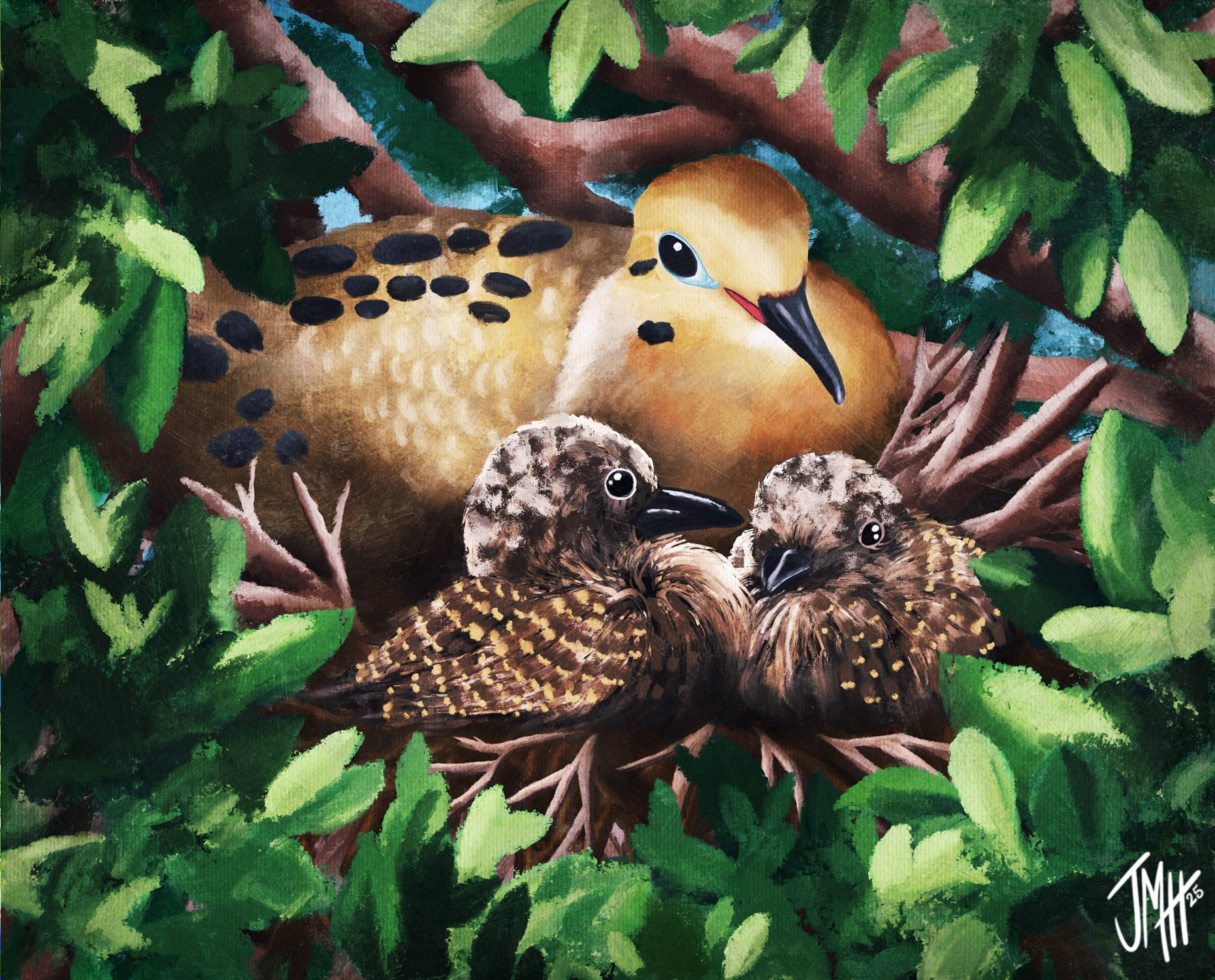 Mourning Dove with Nestlings