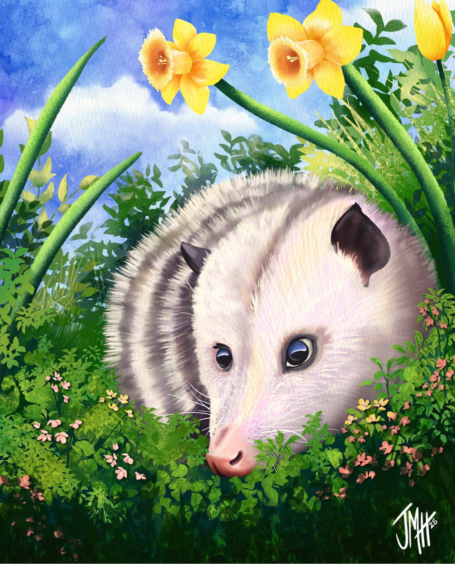 Opossum