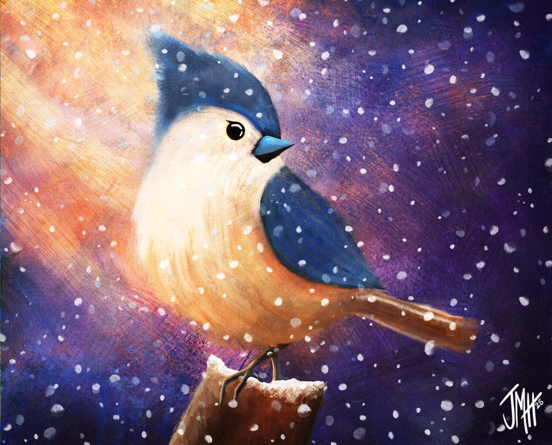 Titmouse