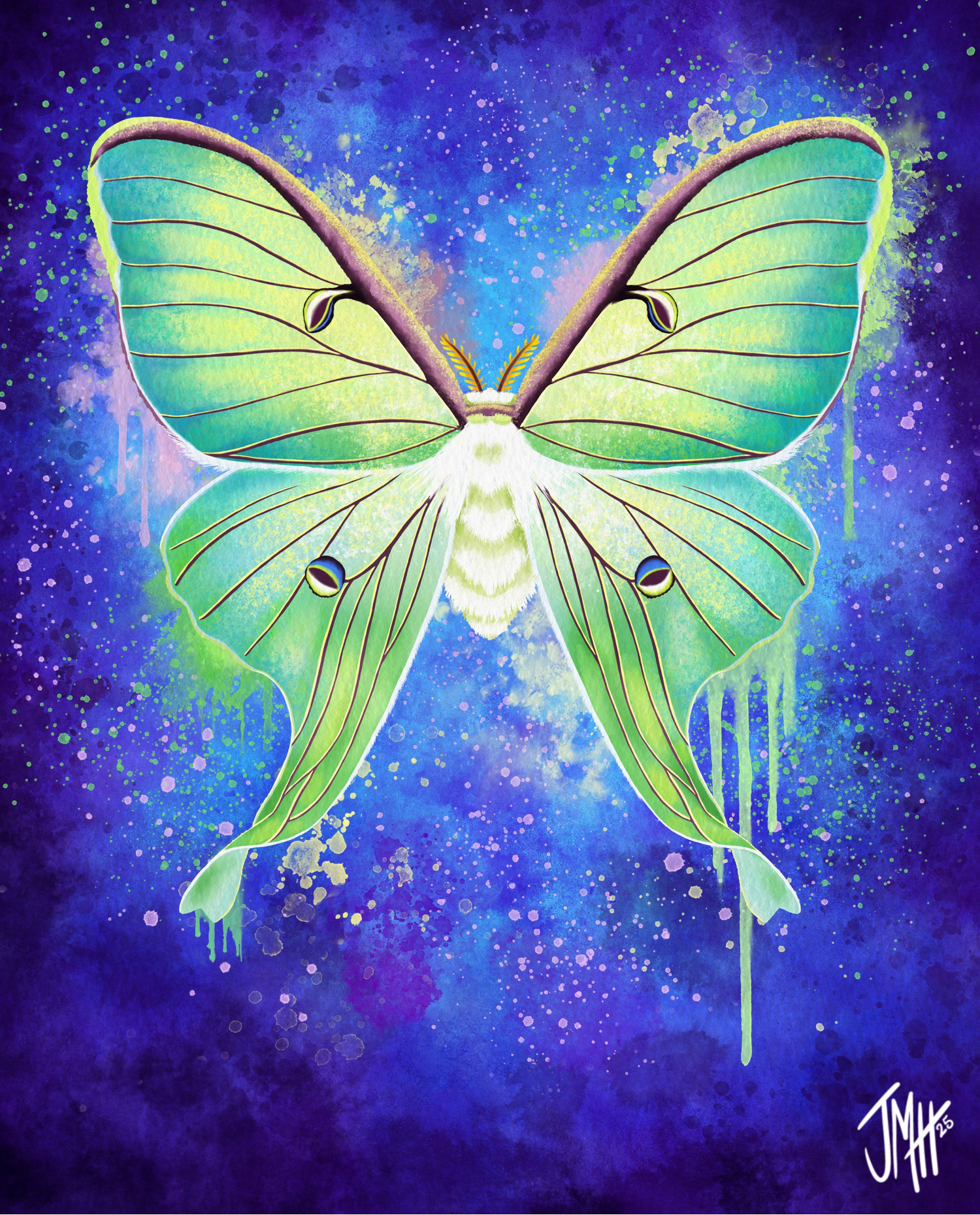 Luna Moth