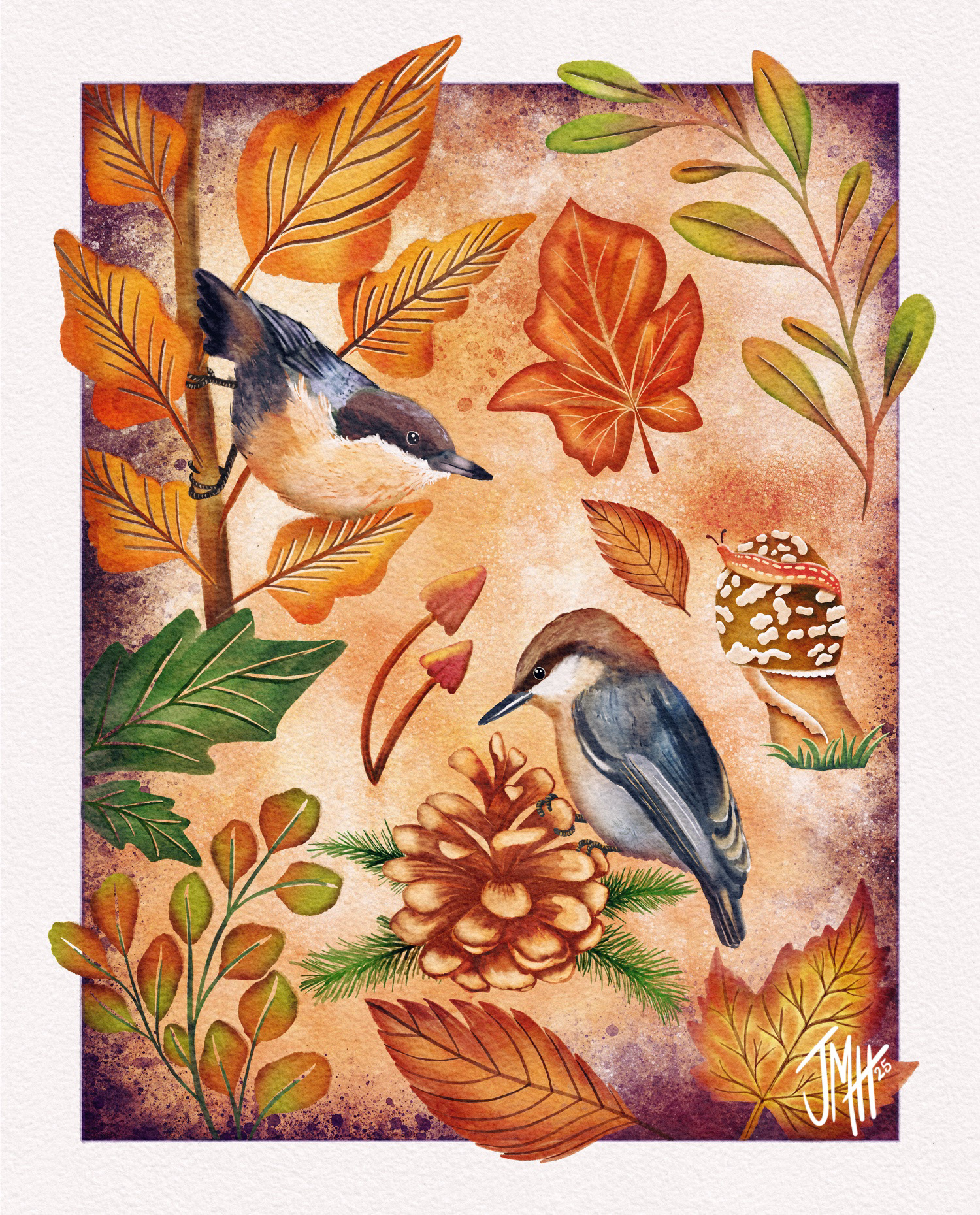 Nuthatches