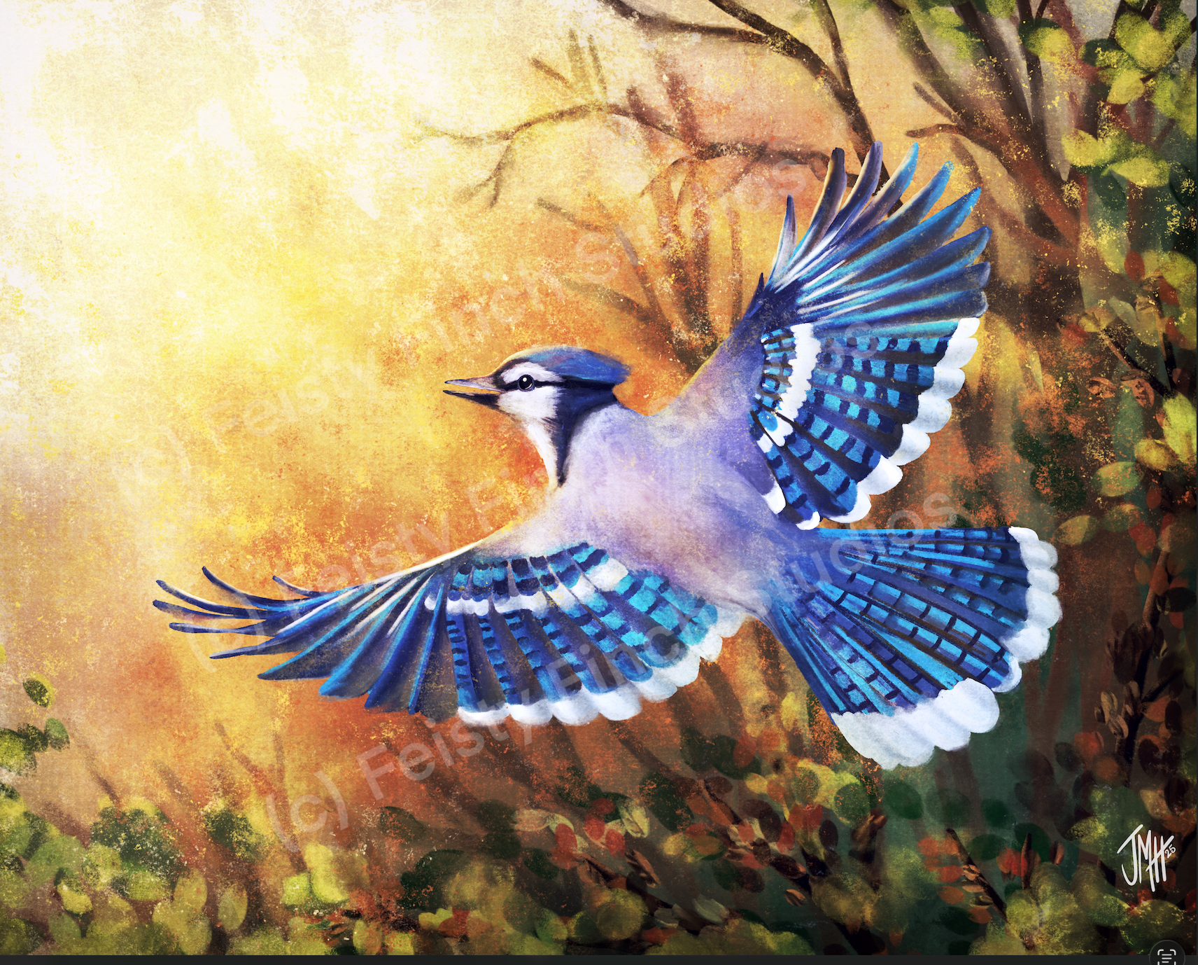Blue Jay at Dawn