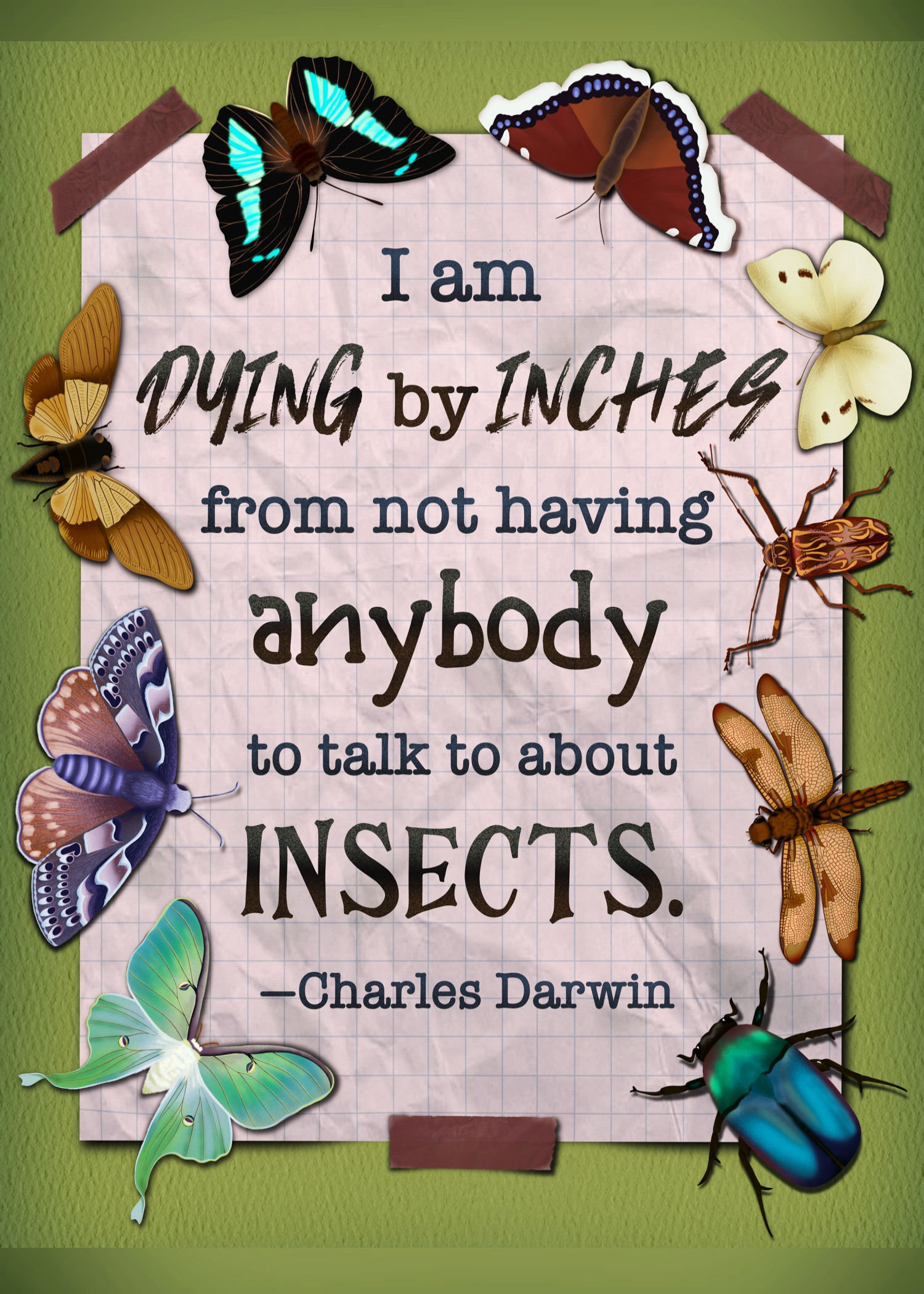 Darwin Quote Insects