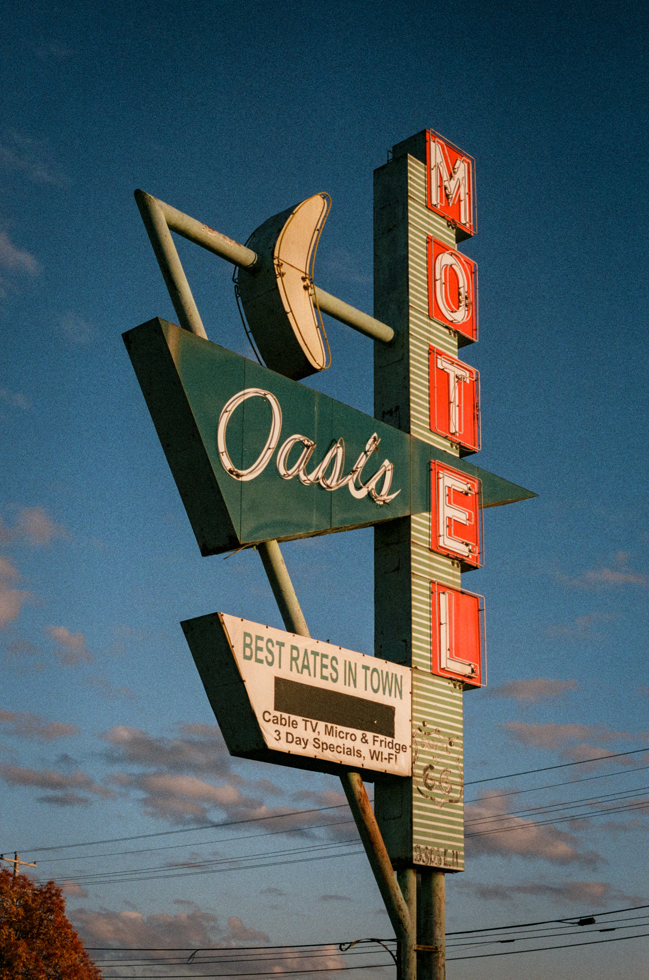 Oasis 66