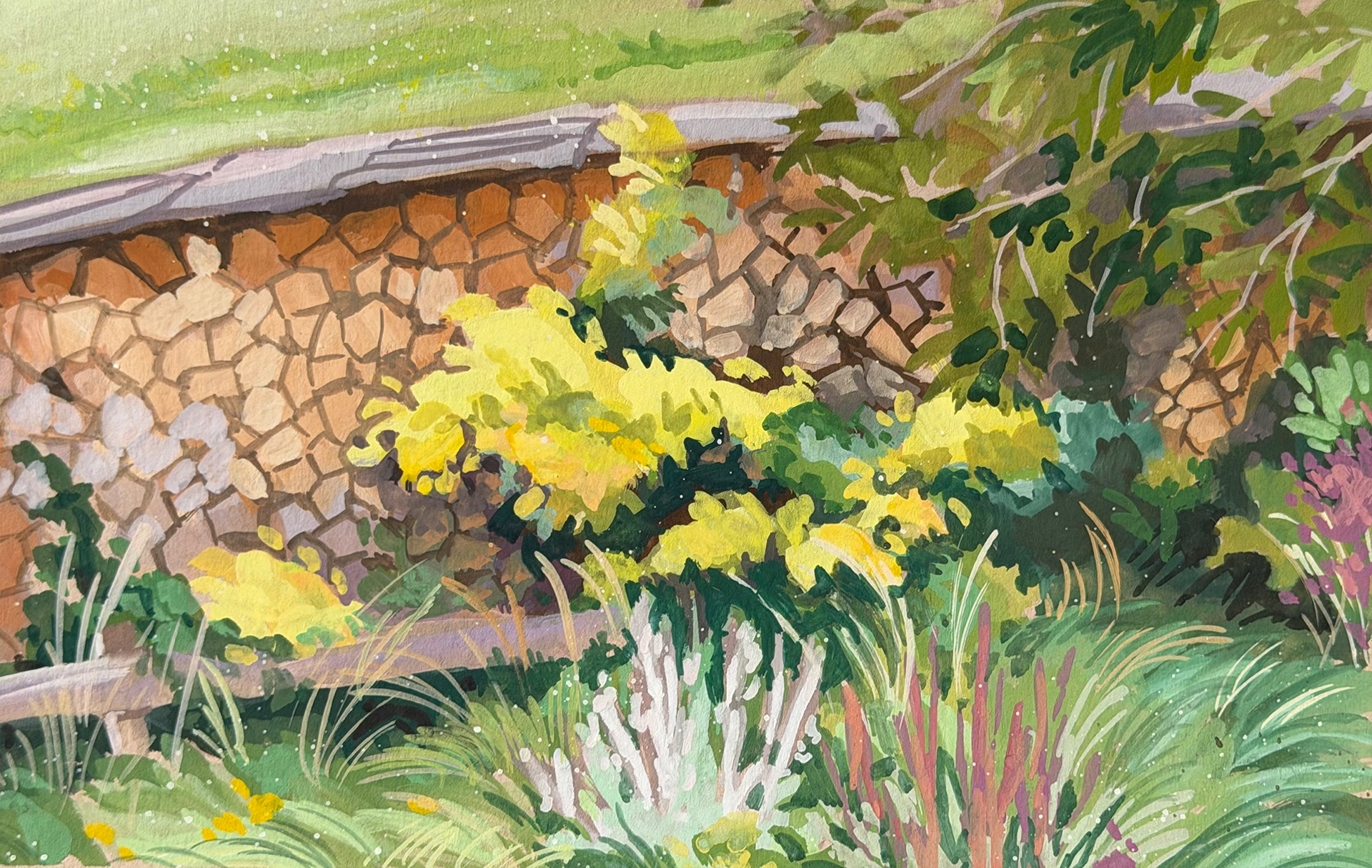 Garden 25