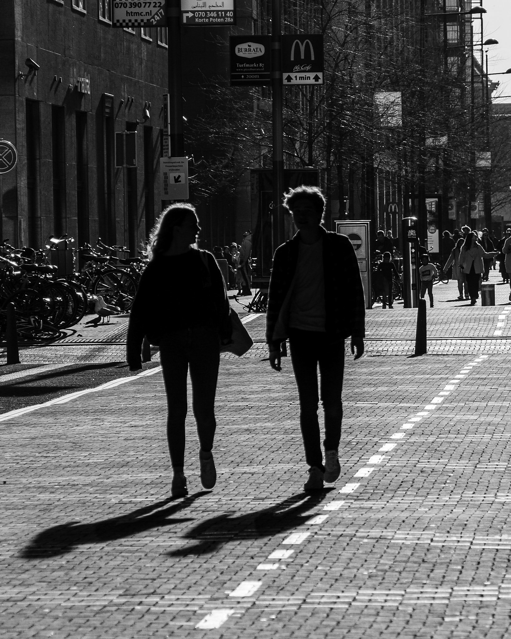 01 - Silhouettes in February