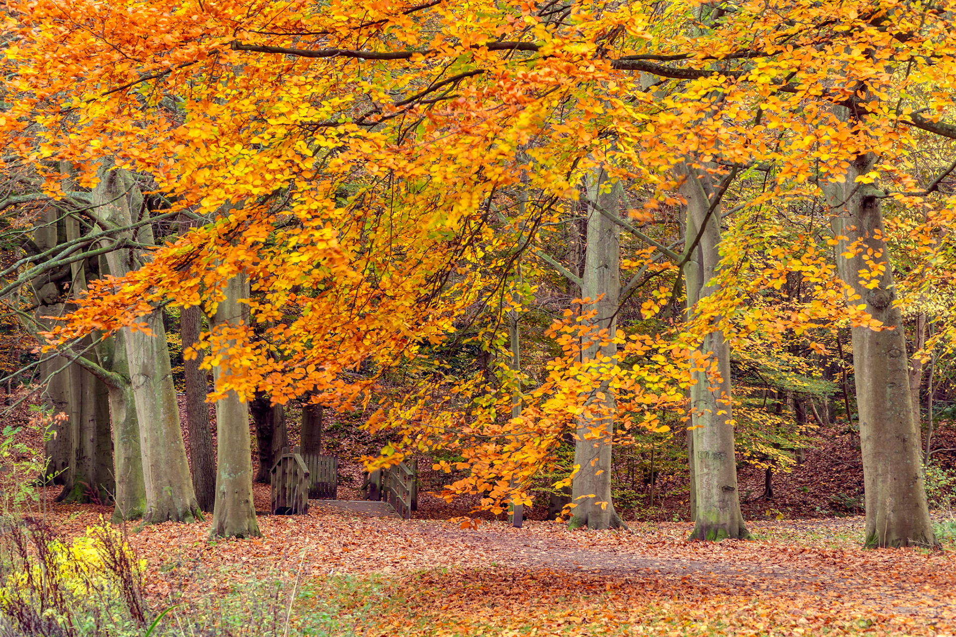 02 - Ockenburg estate in autumn