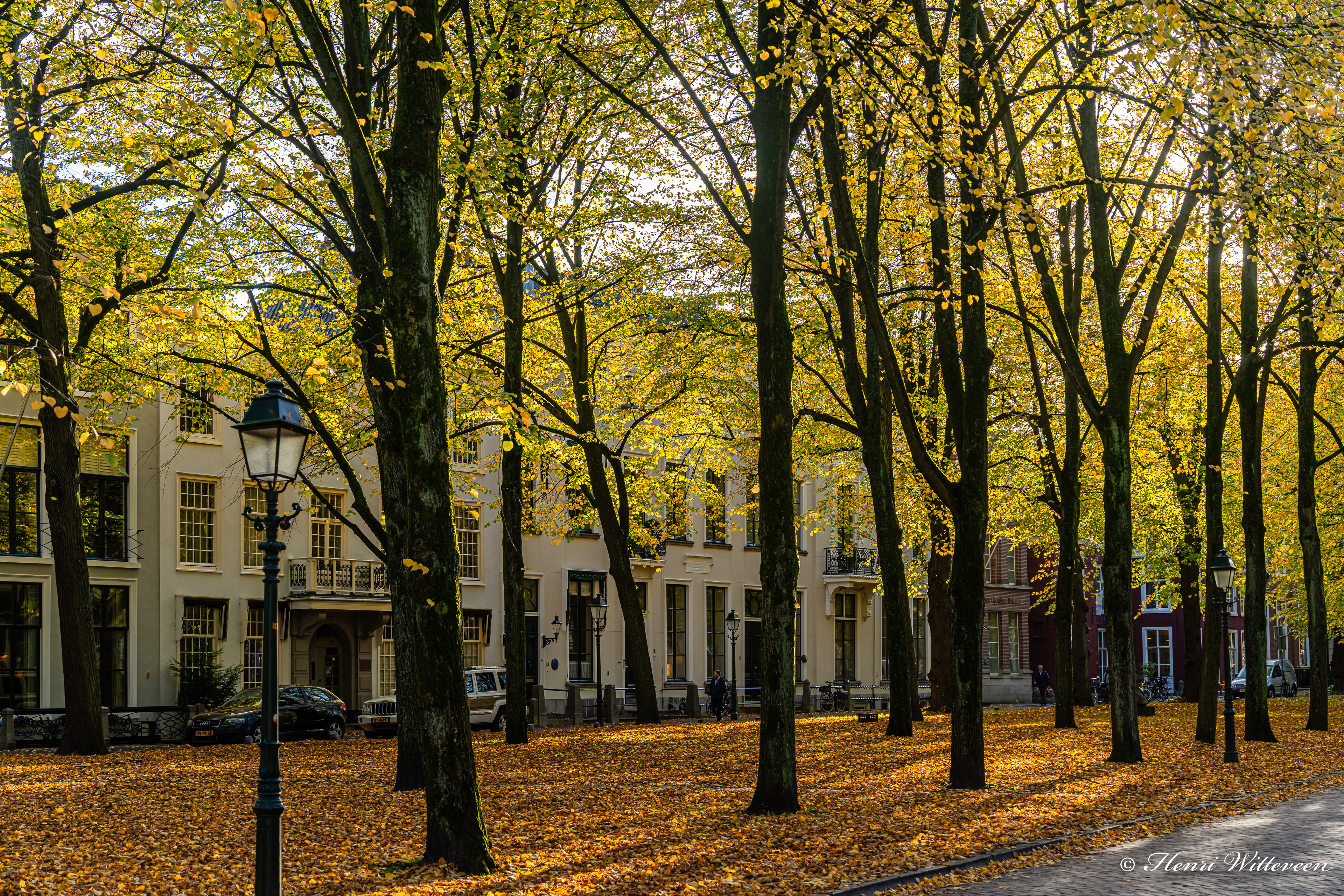 02 - Lange Voorhout, golden hour, 2024-10-22