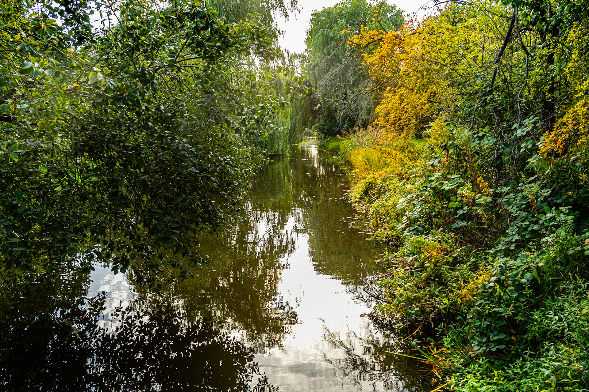 16 - Herfstkleuren - Autumn Colors, Segbroekpark