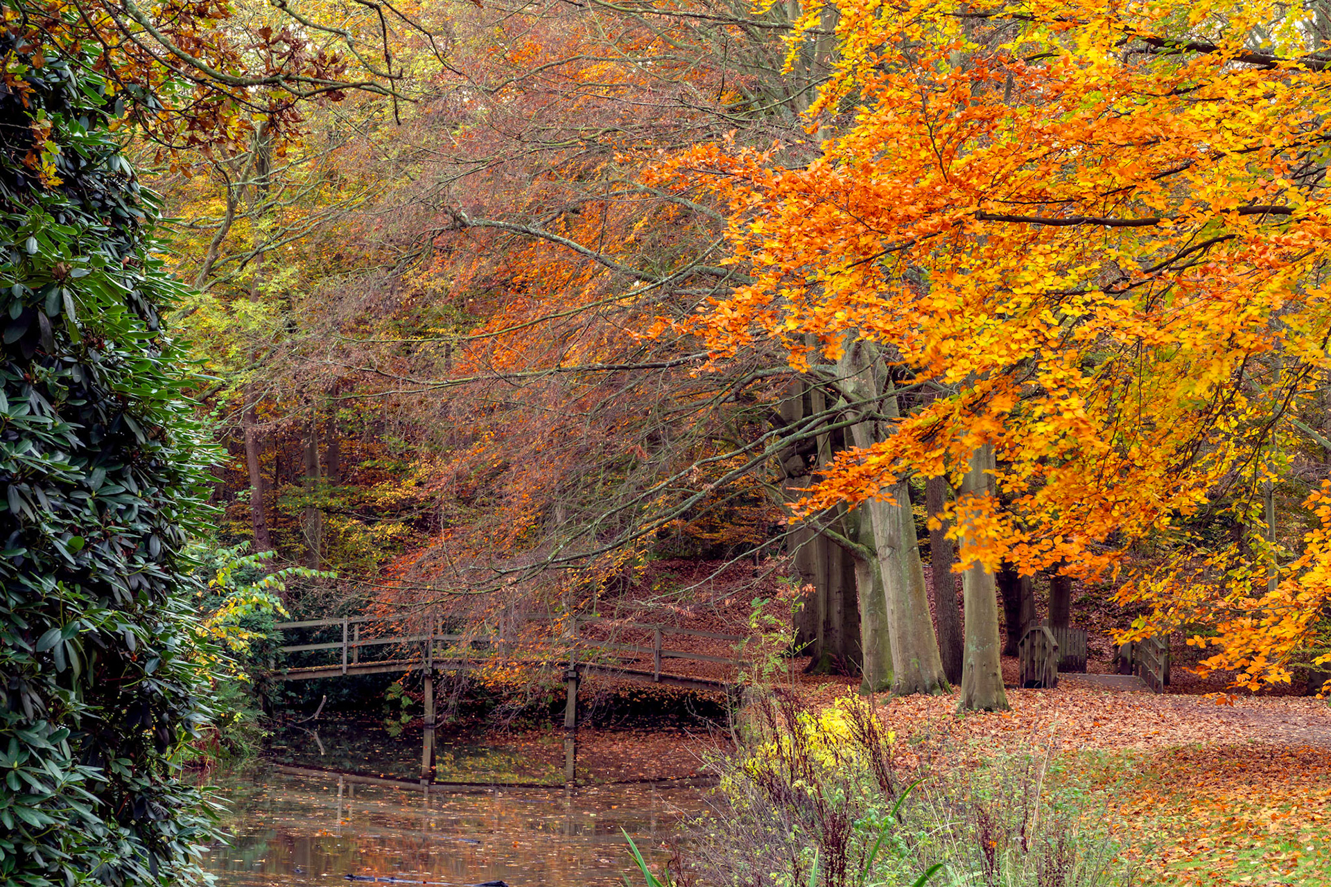 01 - Ockenburg estate in autumn