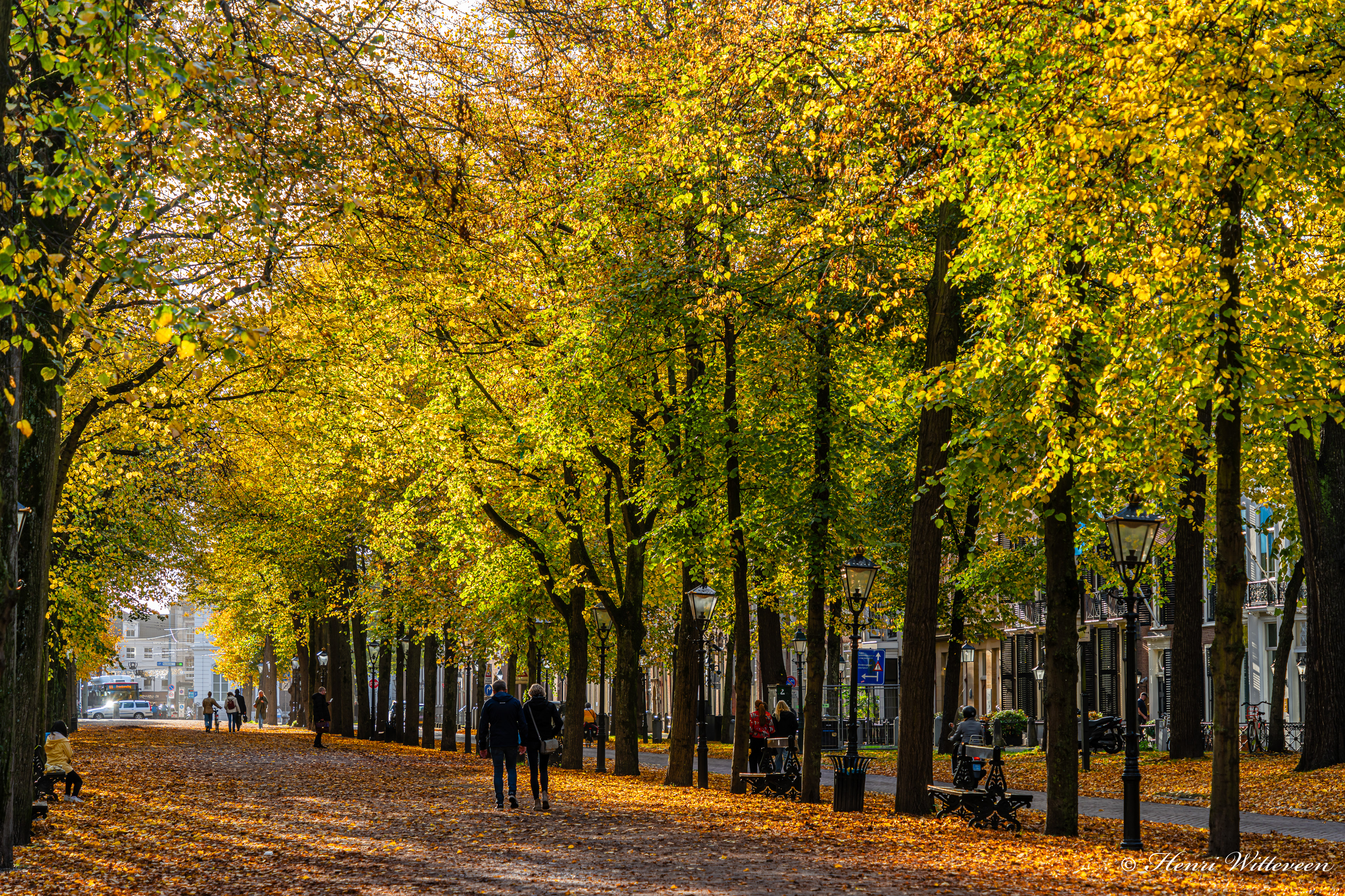 03 - Lange Voorhout, golden hour, 2024-10-22
