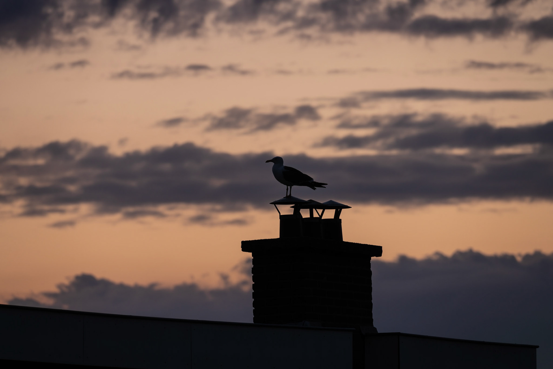 12 - zonsondergang op 2 juli 2022