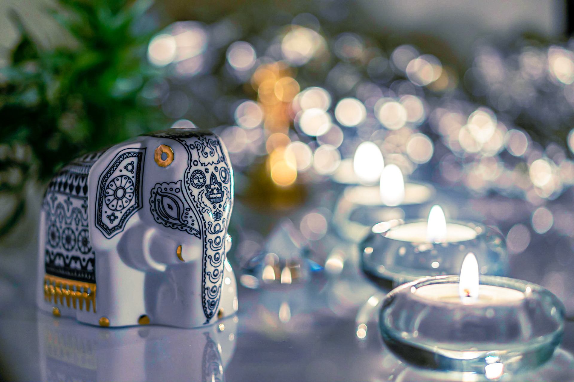 21 - White Elephant