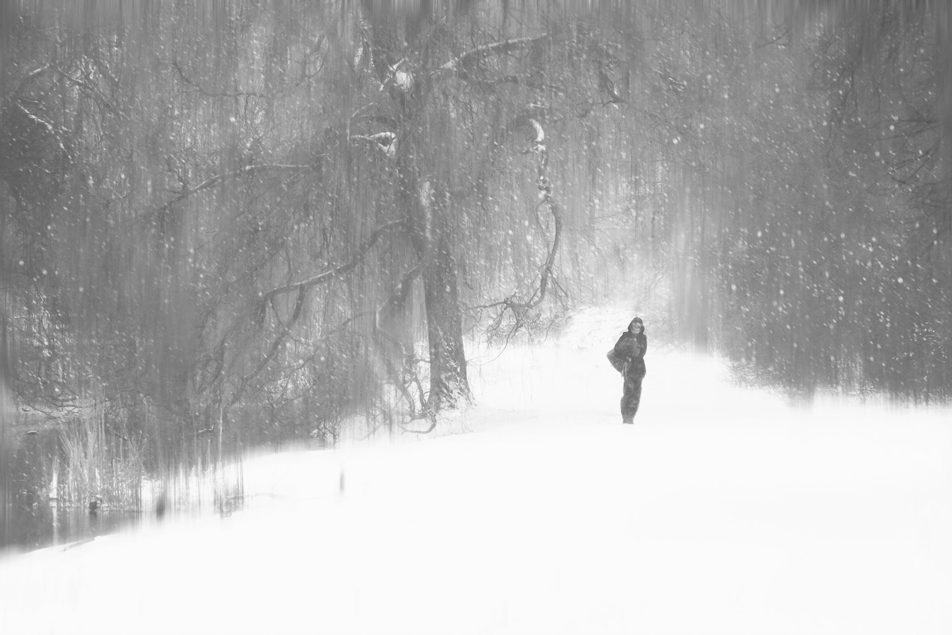11 - Sneeuw in het Segbroekpark, Zwartwit versie