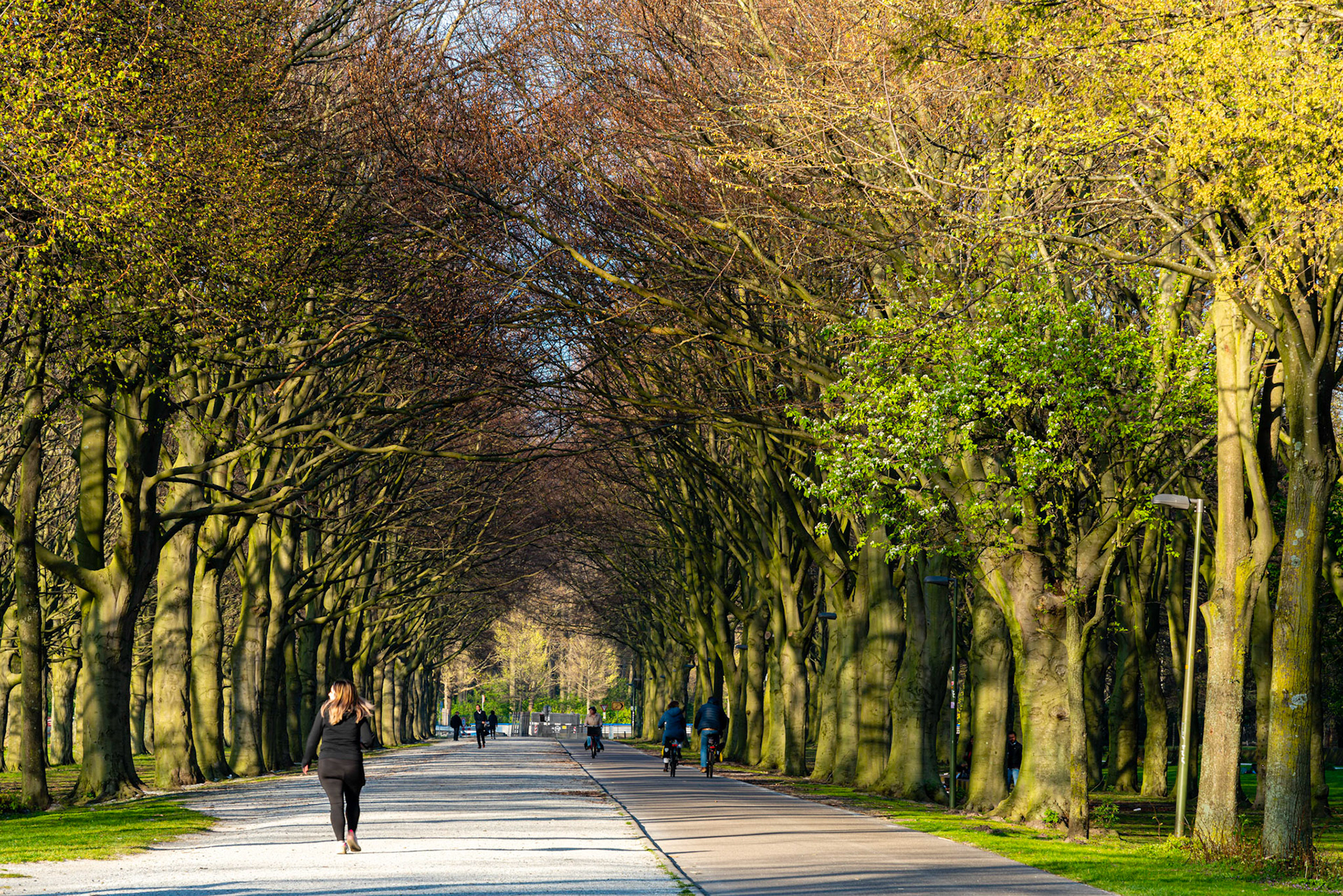53 - Koekamplaan, naast het Malieveld - Koekamplaan, next to Malieveld