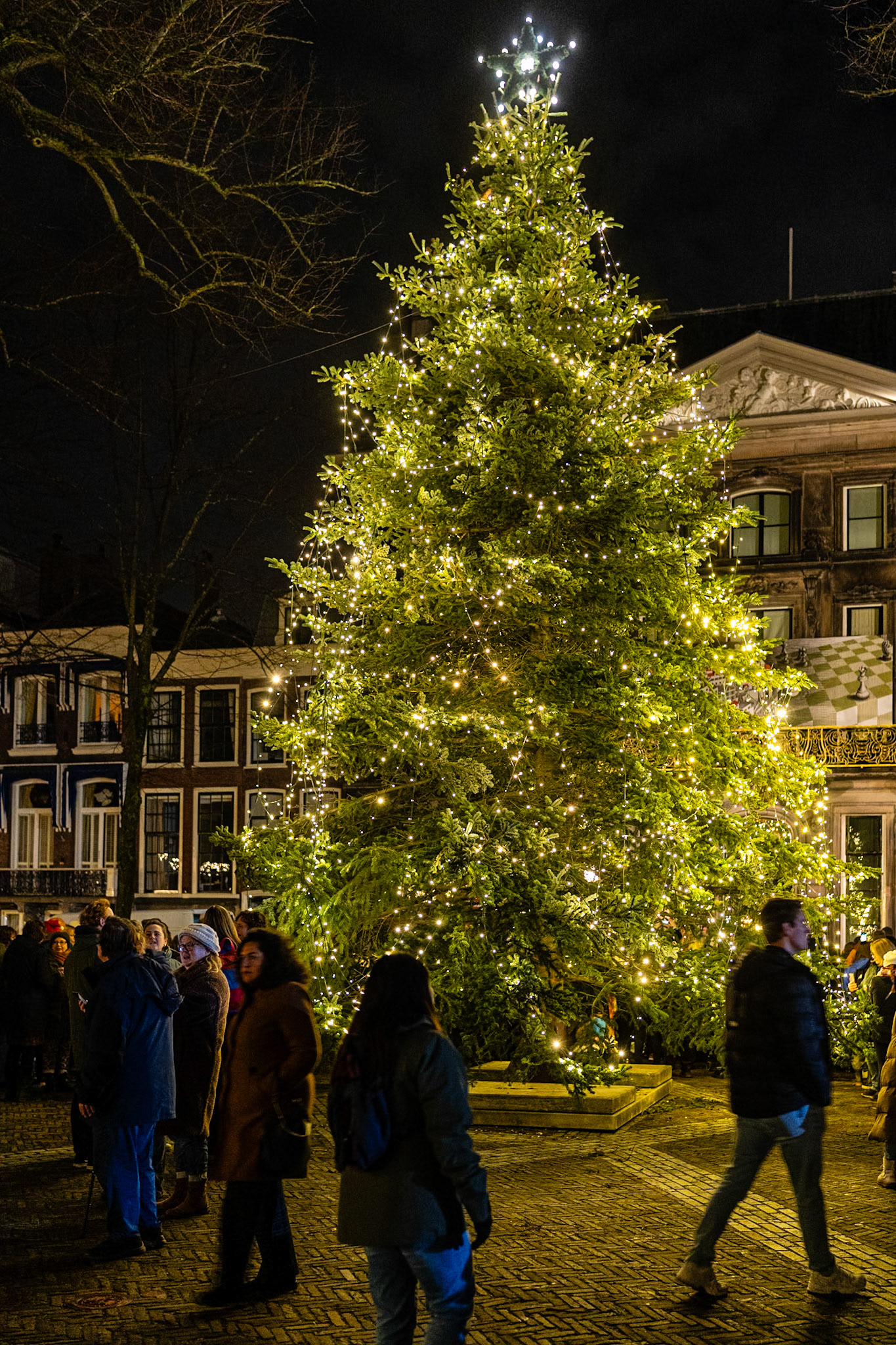 40 - 2023 Zweedse kerstboom Lange Voorhout