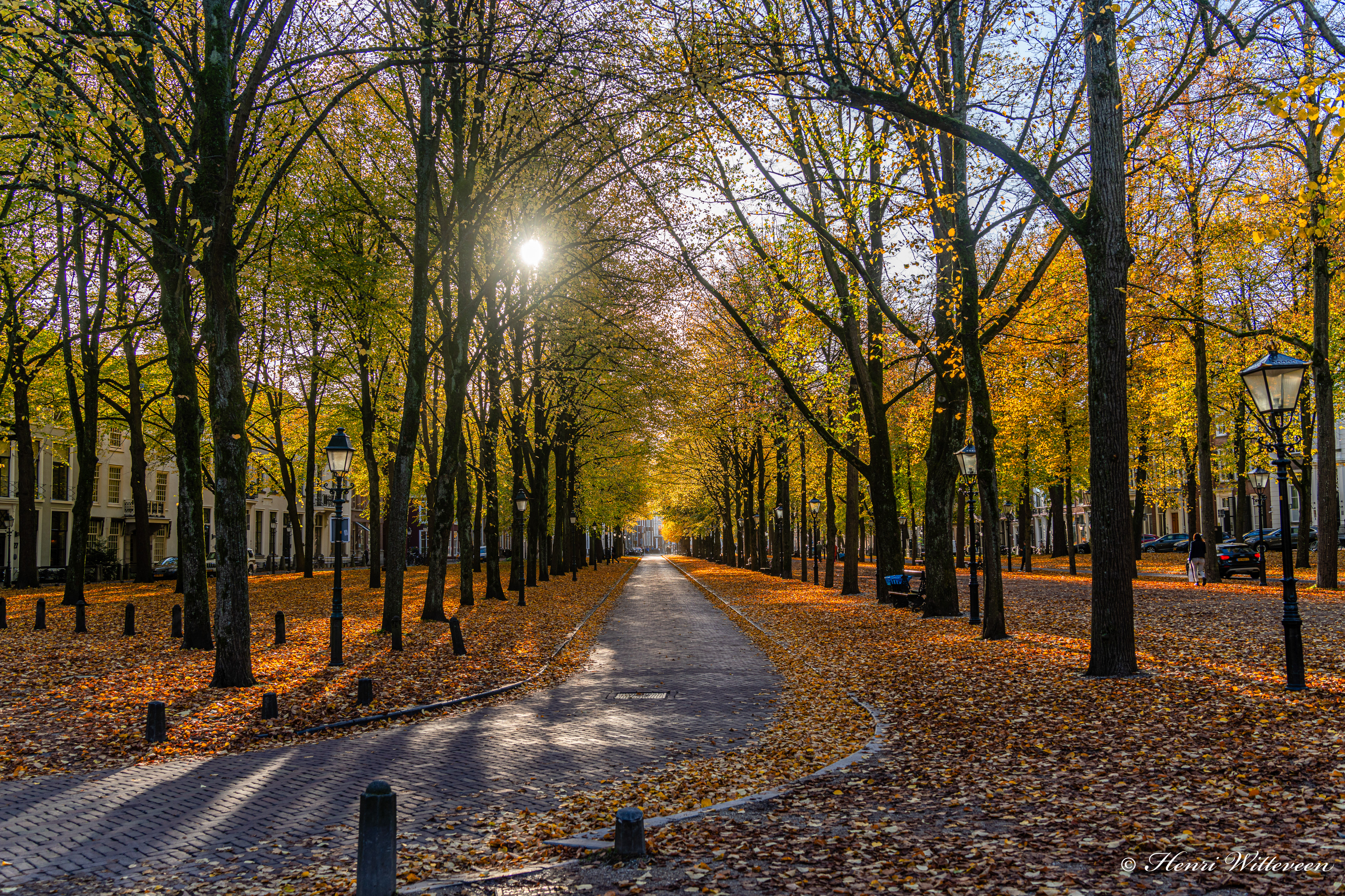 04 - Lange Voorhout, golden hour, 2024-10-22