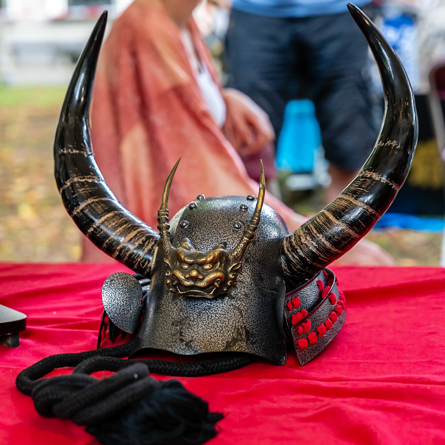 27 - 2023 Embassy Festival, Japan