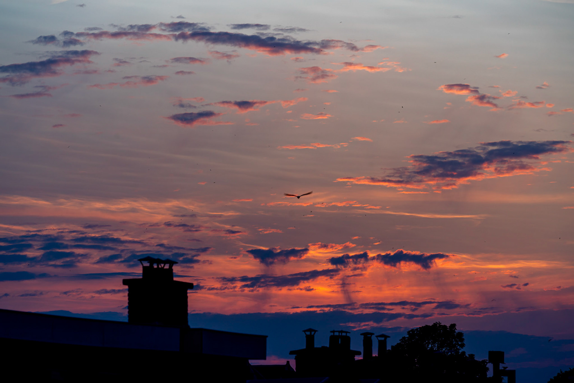 17 - zonsondergang op 8 juli 2023
