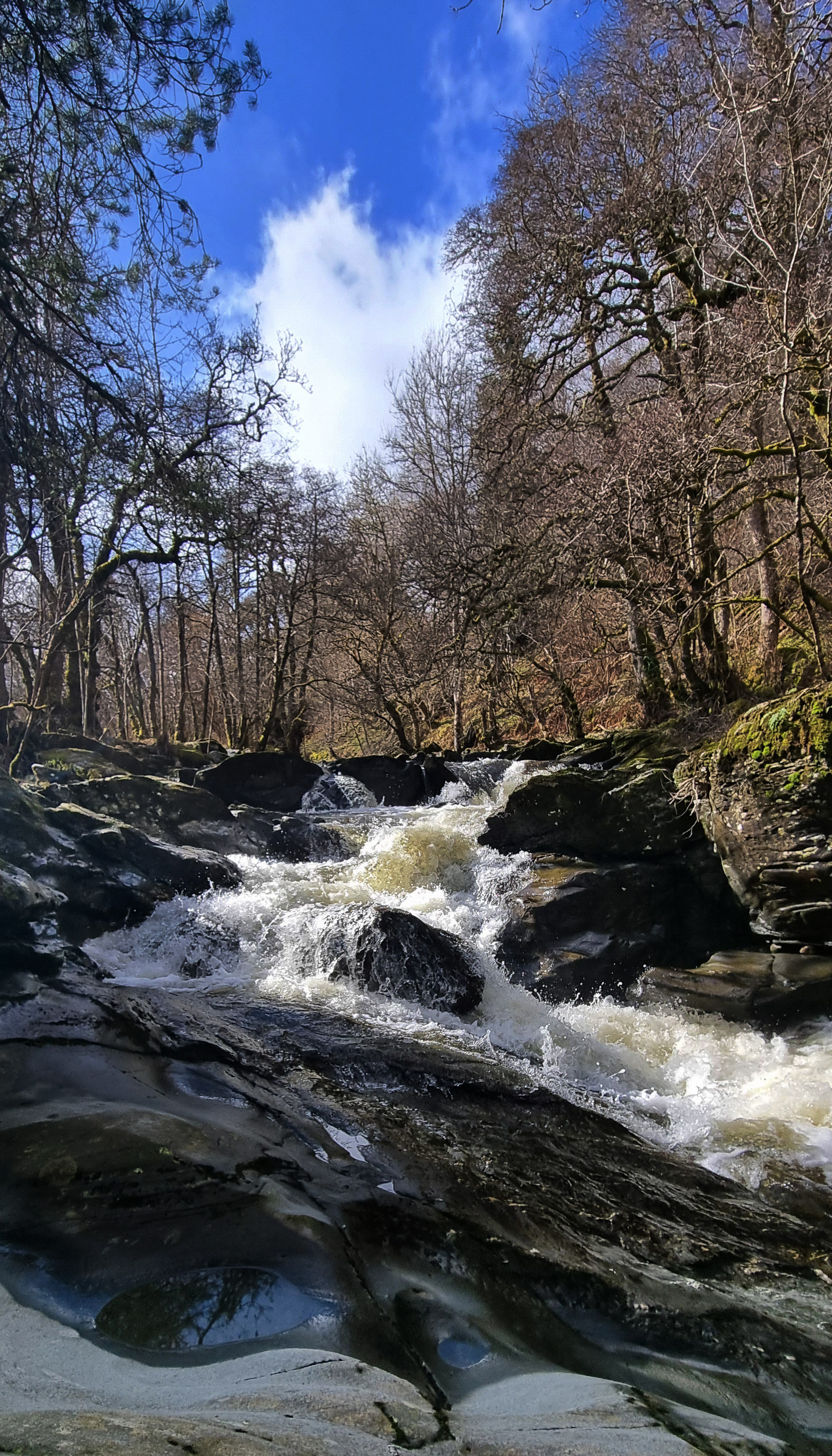 Birks of Aberfeldy